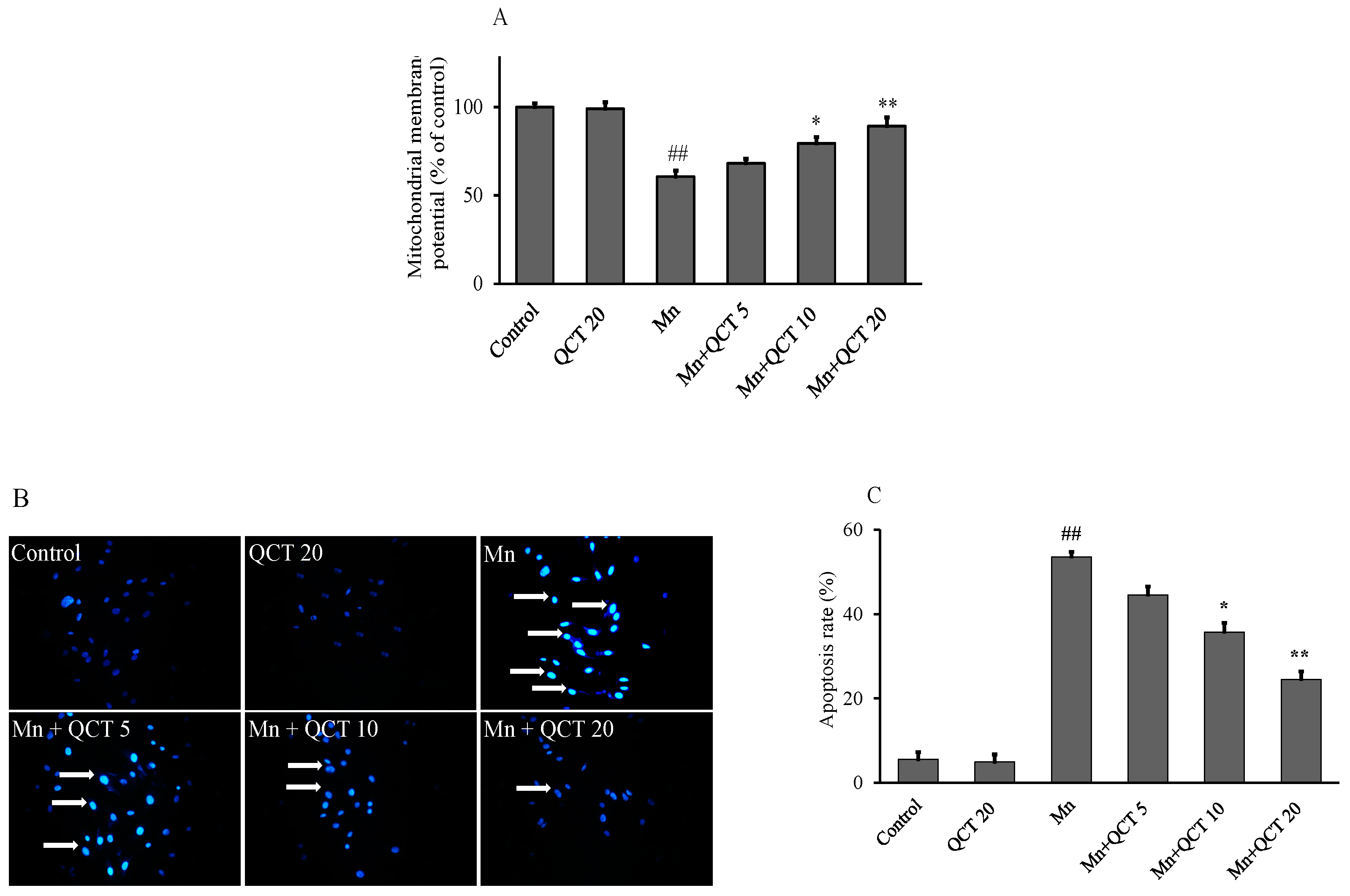 Ijms 18 01989 g003