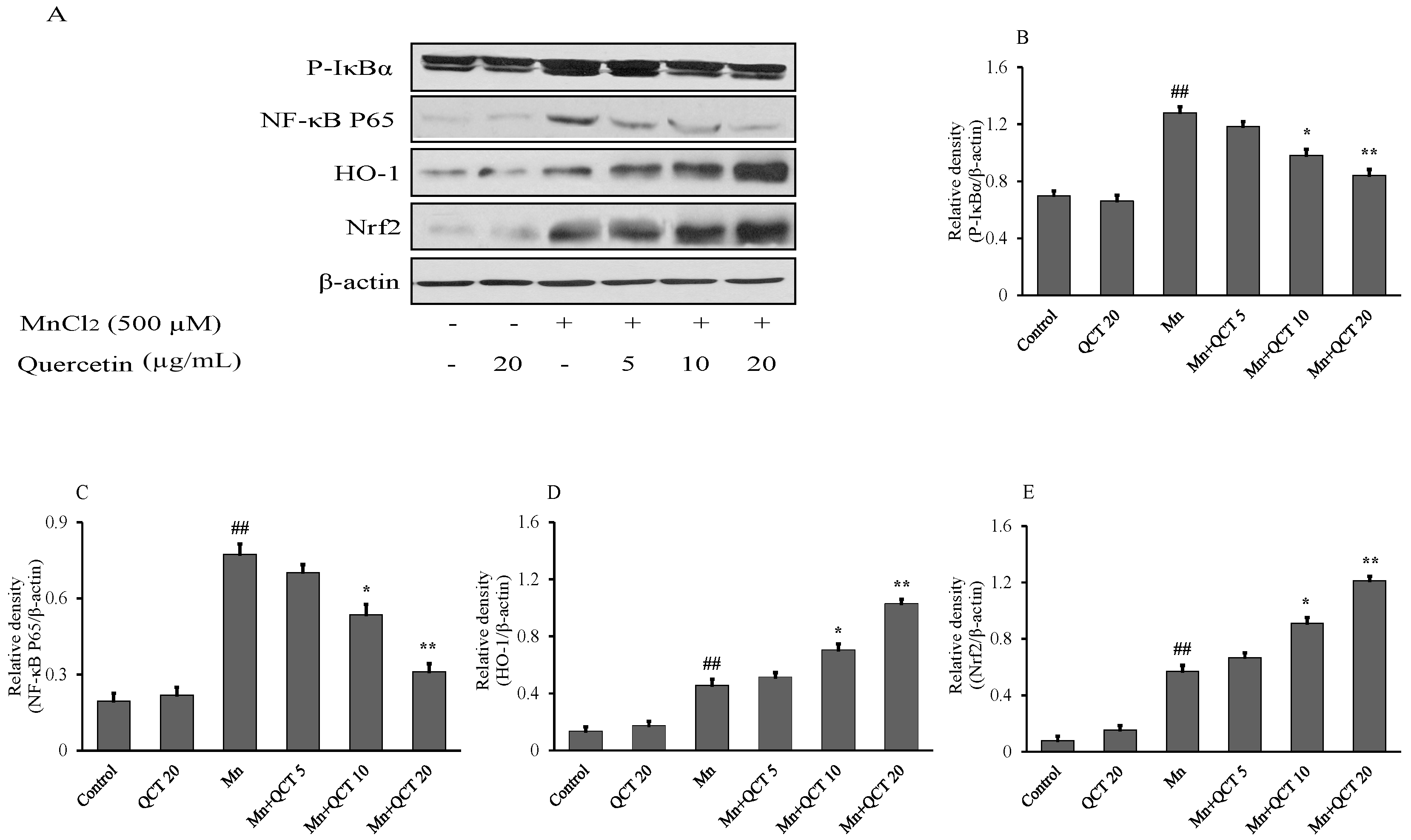 Ijms 18 01989 g004