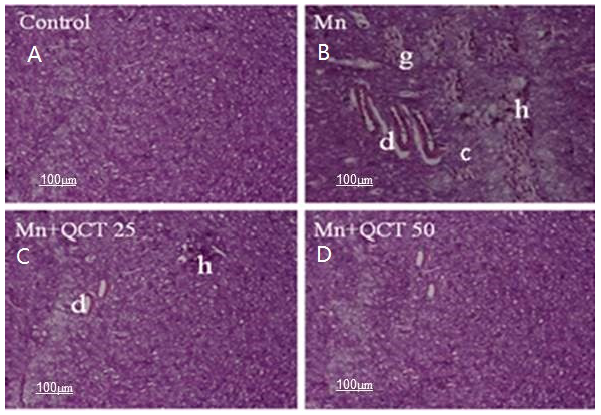 Ijms 18 01989 g010
