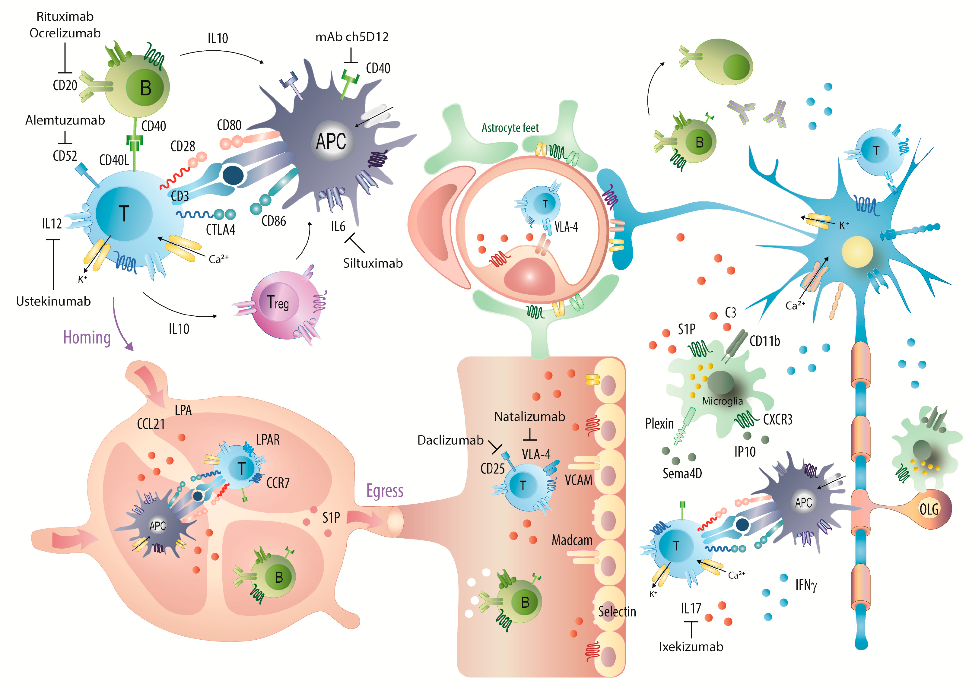 Ijms 18 01992 g008 Ijms 18 01992 g008