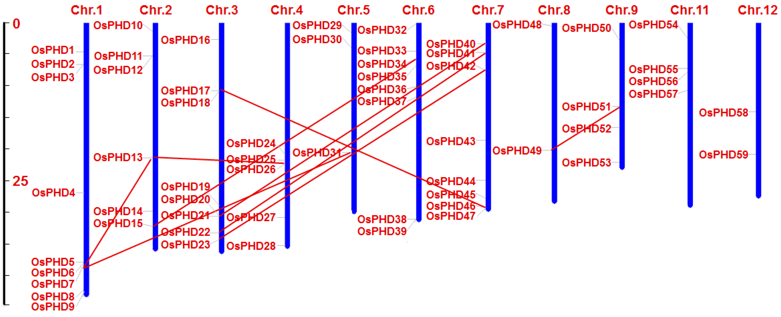 Ijms 18 02005 g002