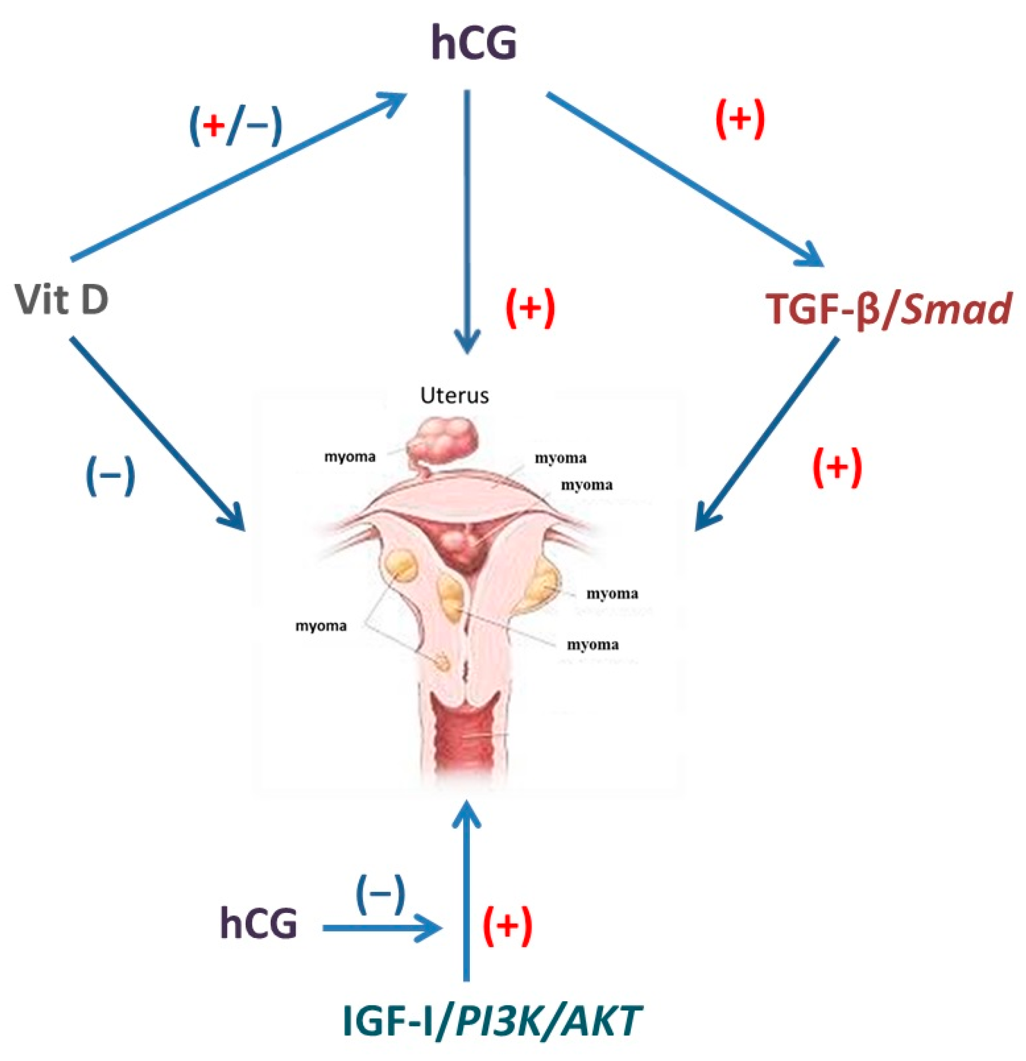 Ijms 18 02014 g003 Ijms 18 02014 g003