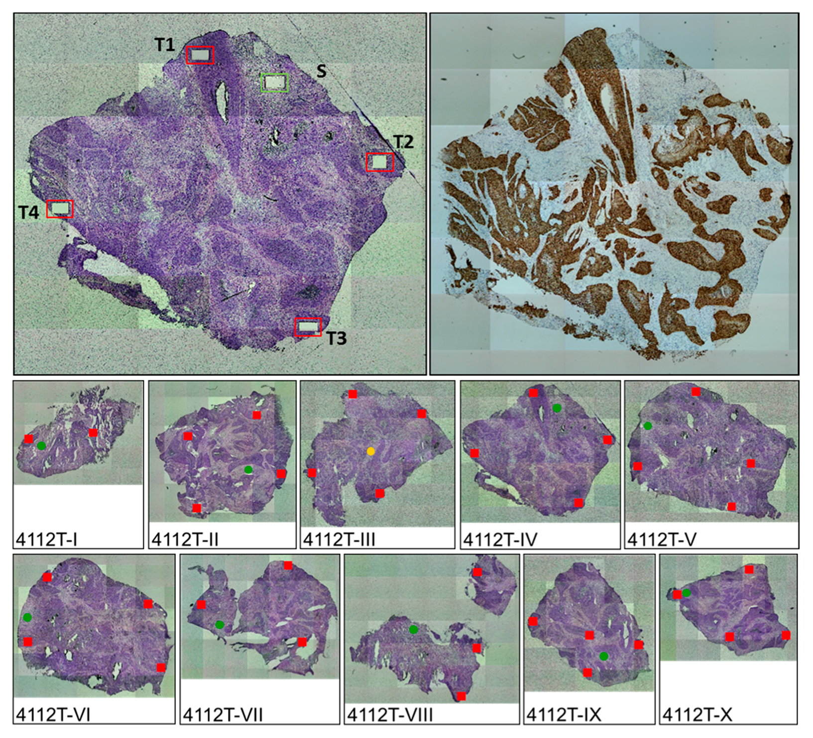 Ijms 18 02032 g001 Ijms 18 02032 g001