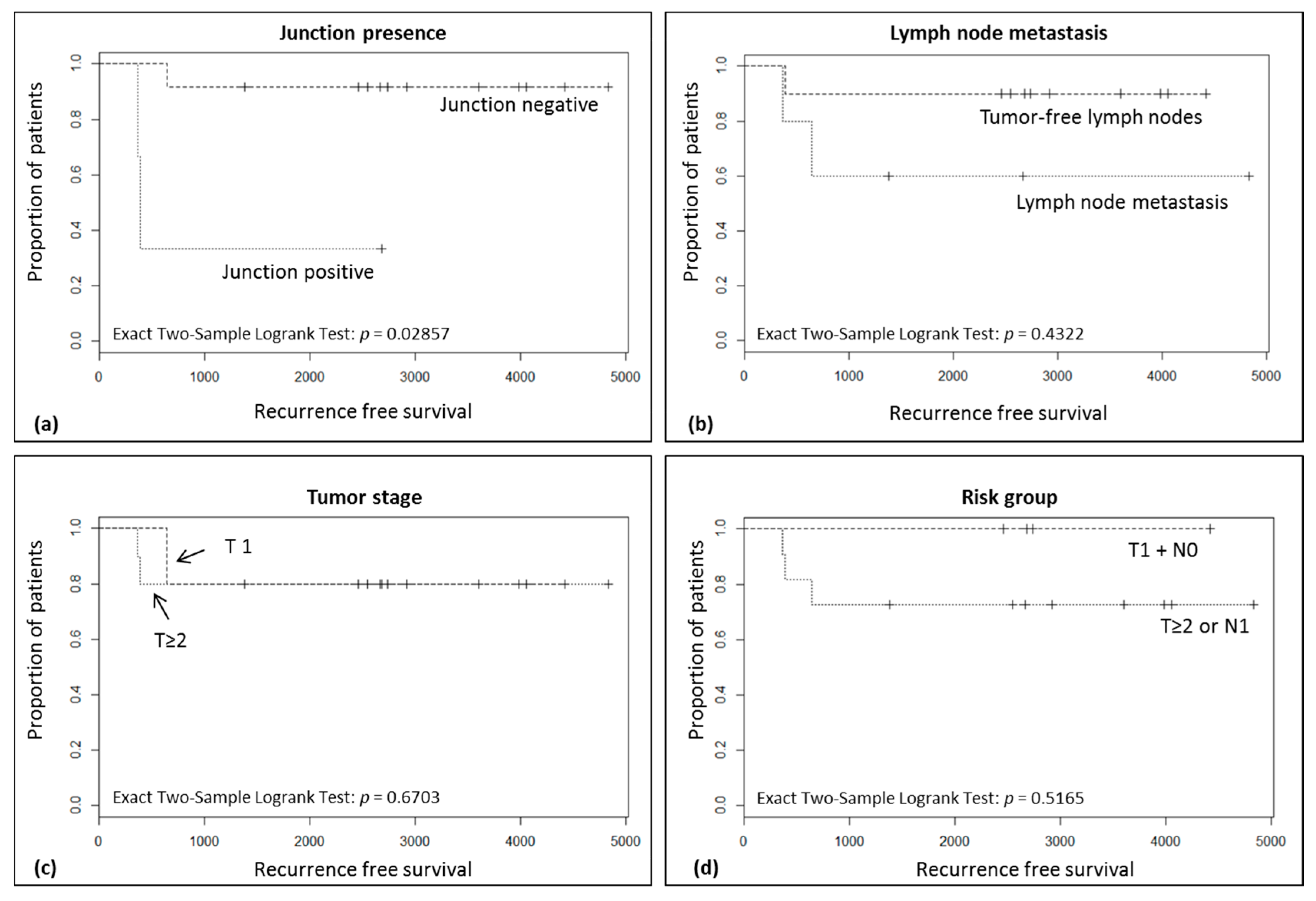 Ijms 18 02032 g003 Ijms 18 02032 g003