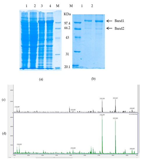 Ijms 18 02035 g008 550