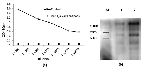 Ijms 18 02035 g009 550