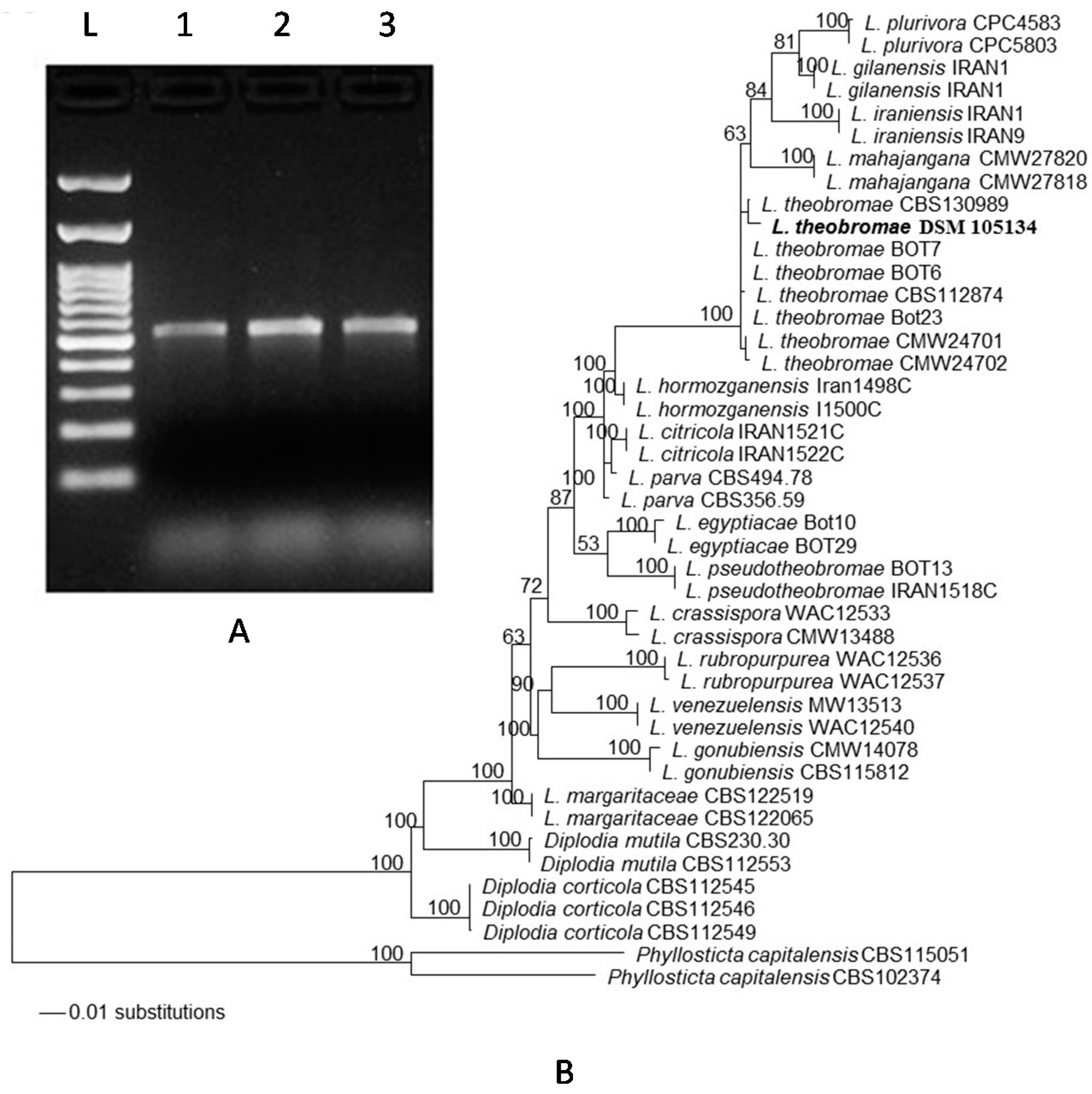 Ijms 18 02086 g002