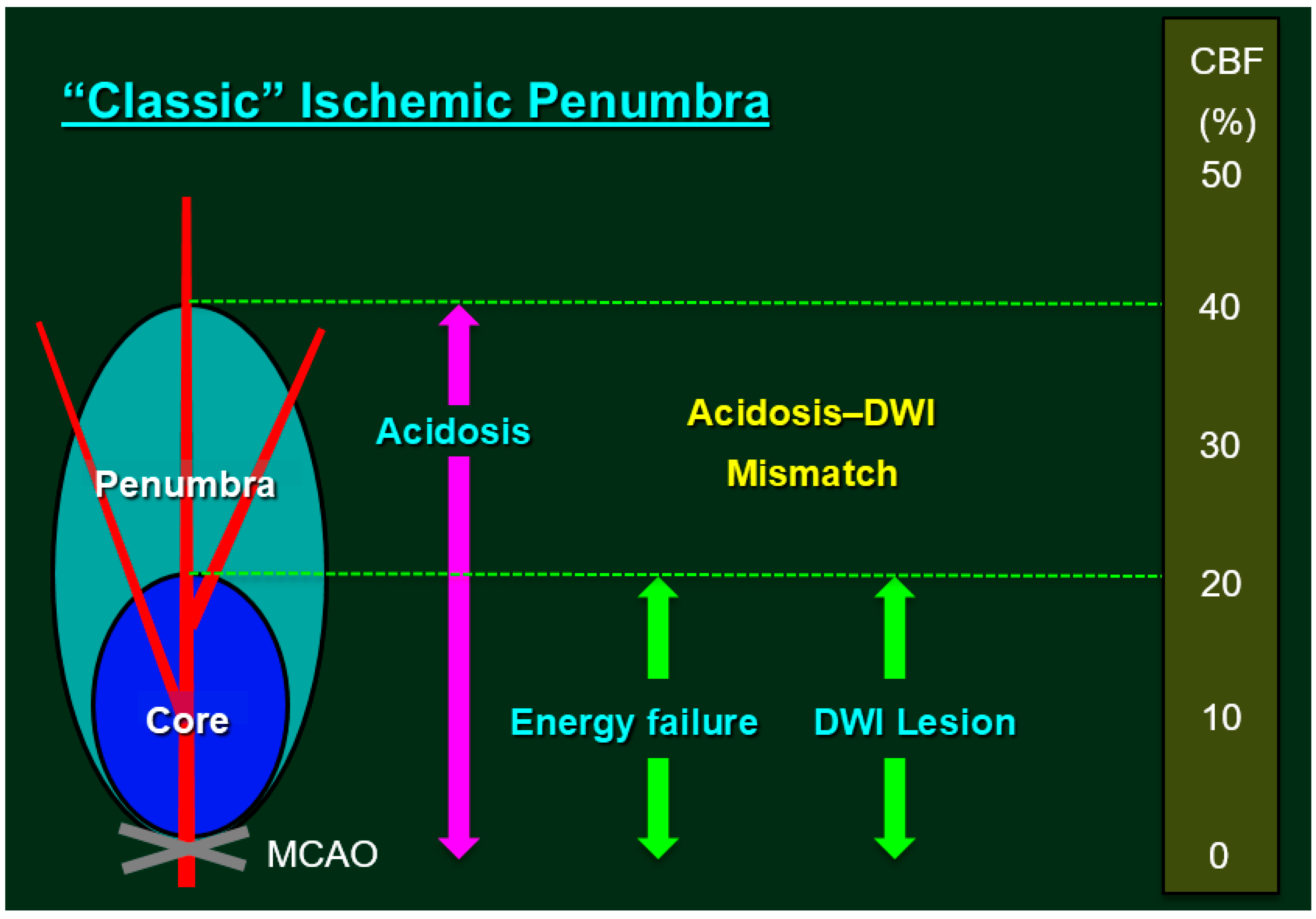Ijms 18 02123 g001 Ijms 18 02123 g001