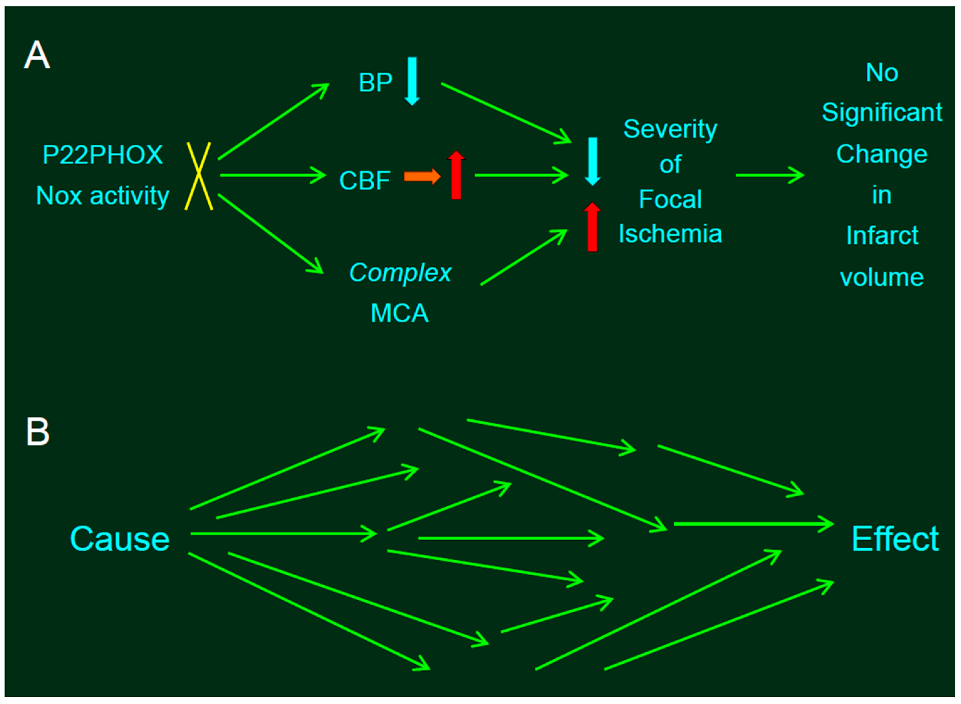 Ijms 18 02123 g002 Ijms 18 02123 g002