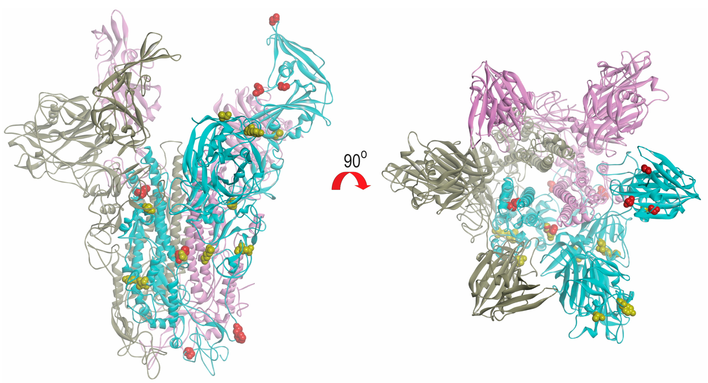 Ijms 18 02138 g006 Ijms 18 02138 g006