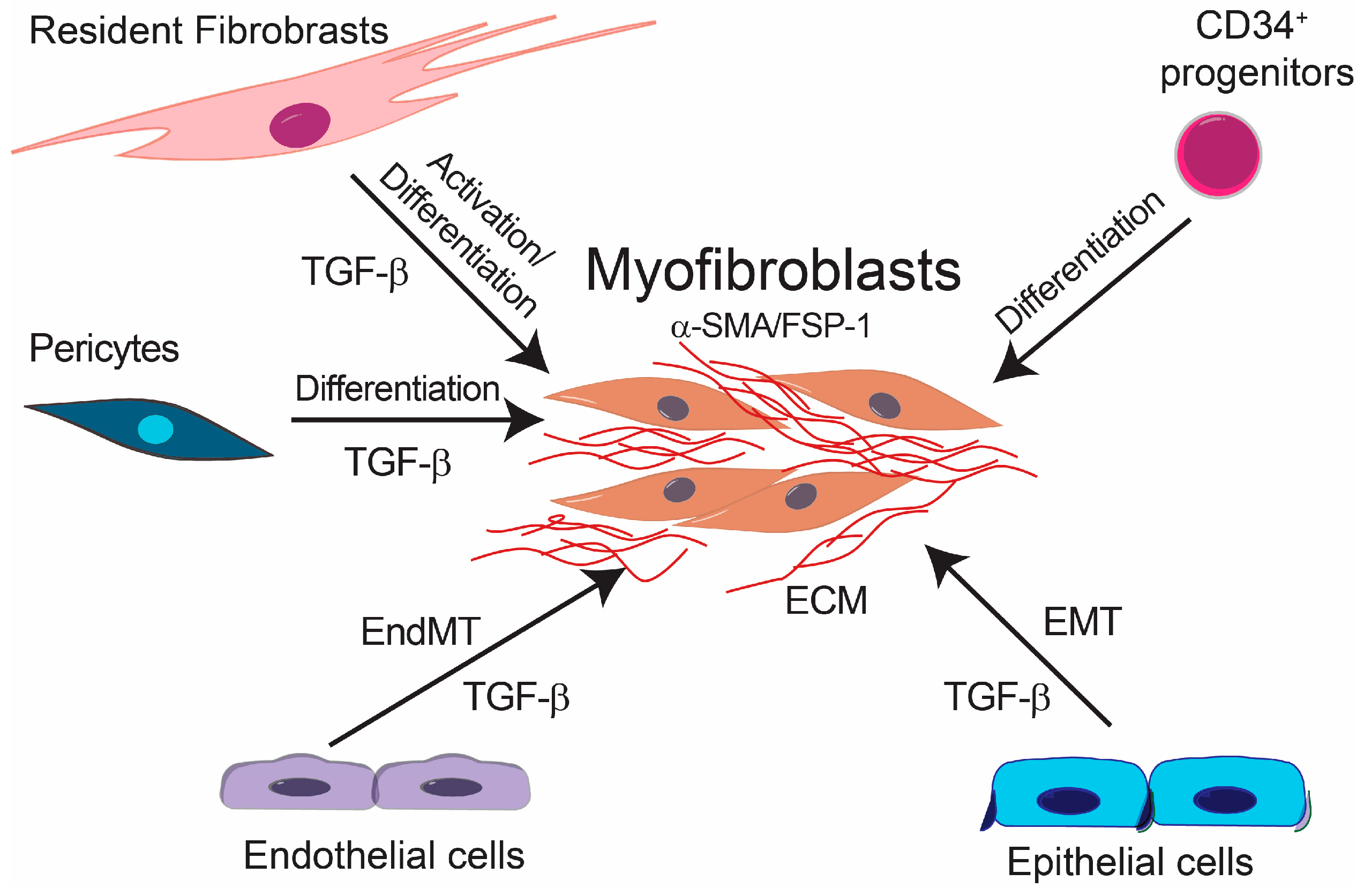 Ijms 18 02157 g001 Ijms 18 02157 g001