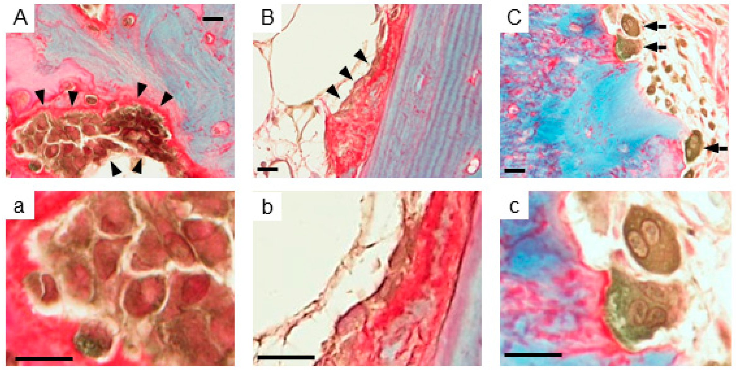 Ijms 18 02159 g001a