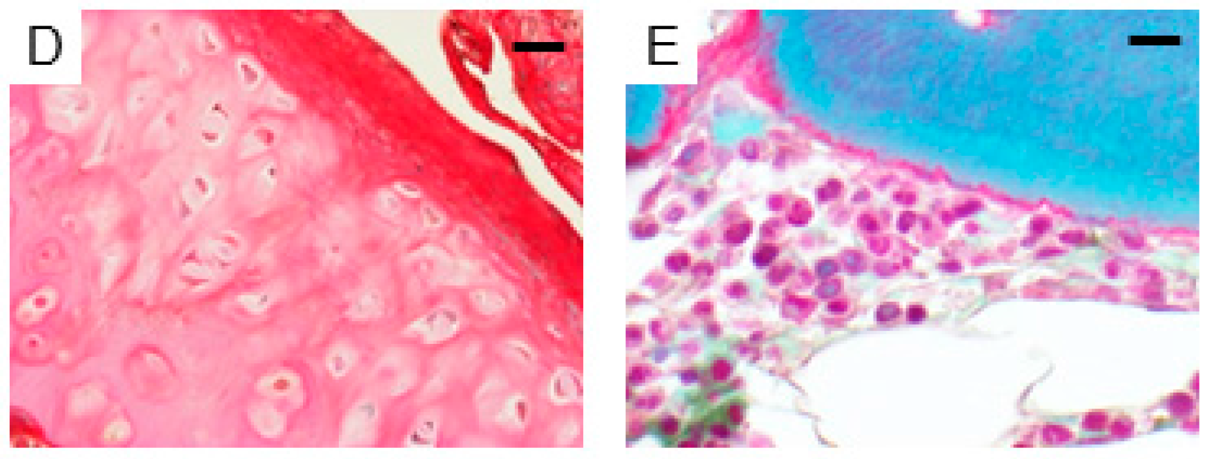Ijms 18 02159 g001b