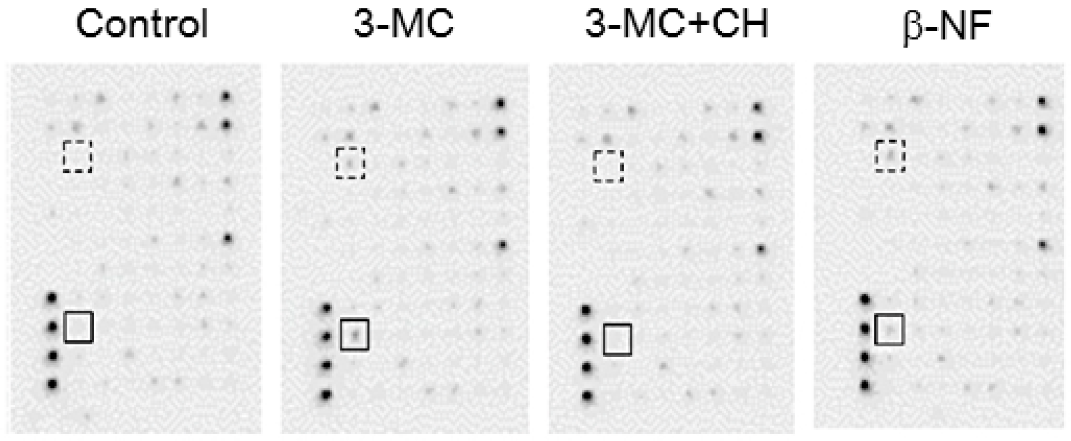 Ijms 18 02159 g004