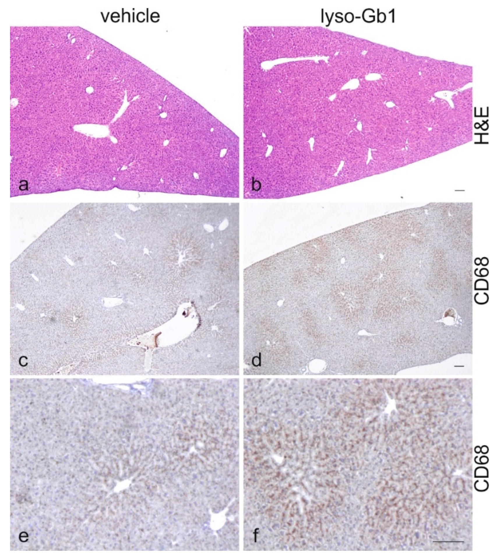 Ijms 18 02192 g006