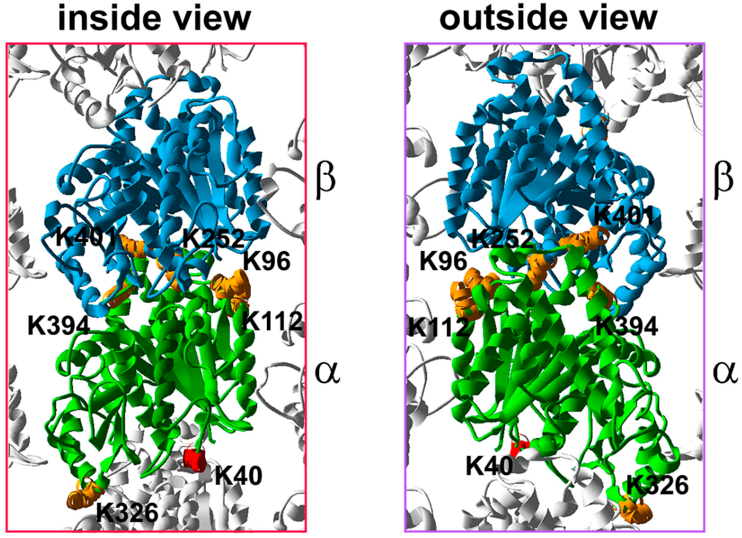 Ijms 18 02207 g002 Ijms 18 02207 g002