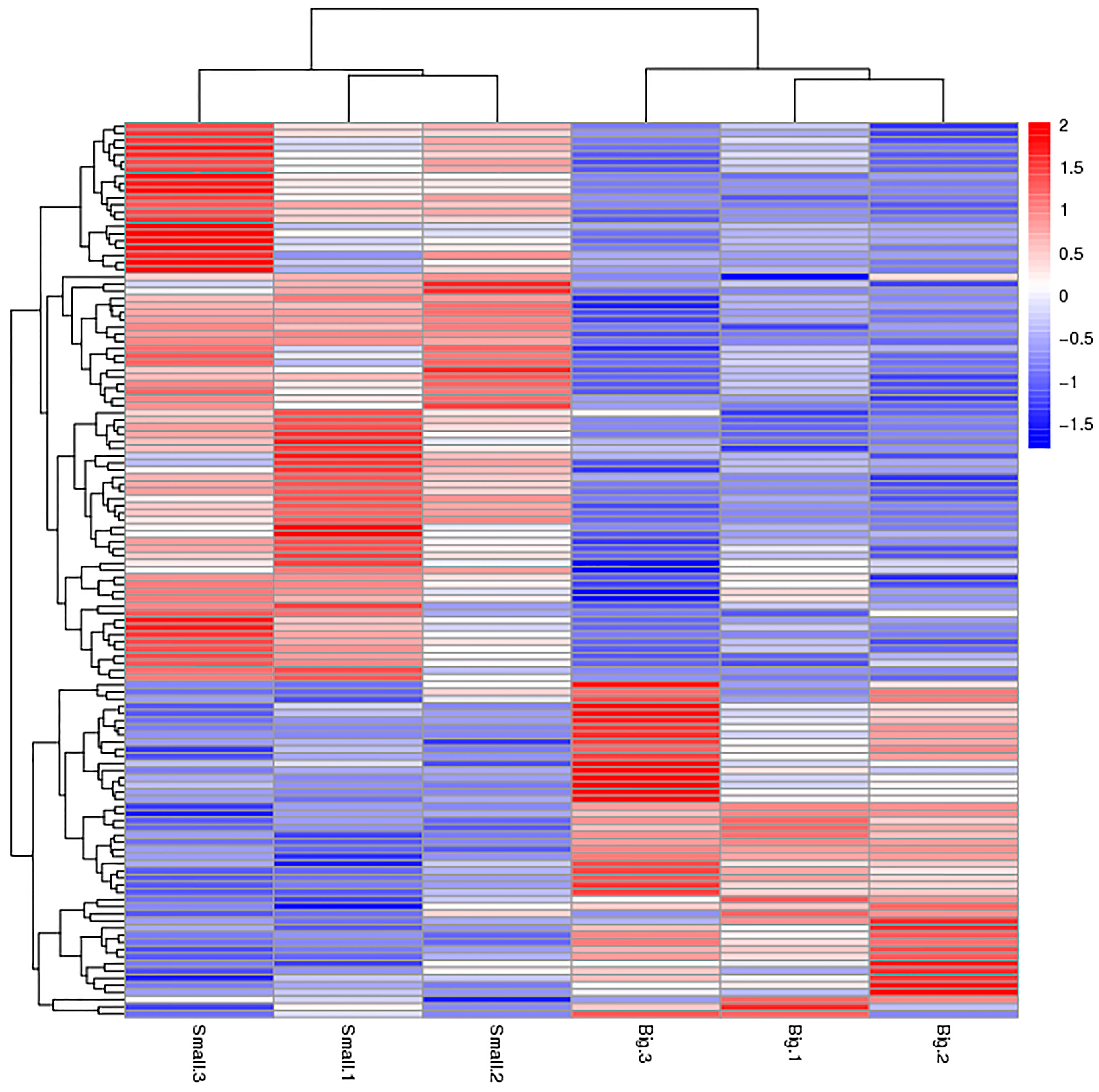 Ijms 18 02237 g001 Ijms 18 02237 g001