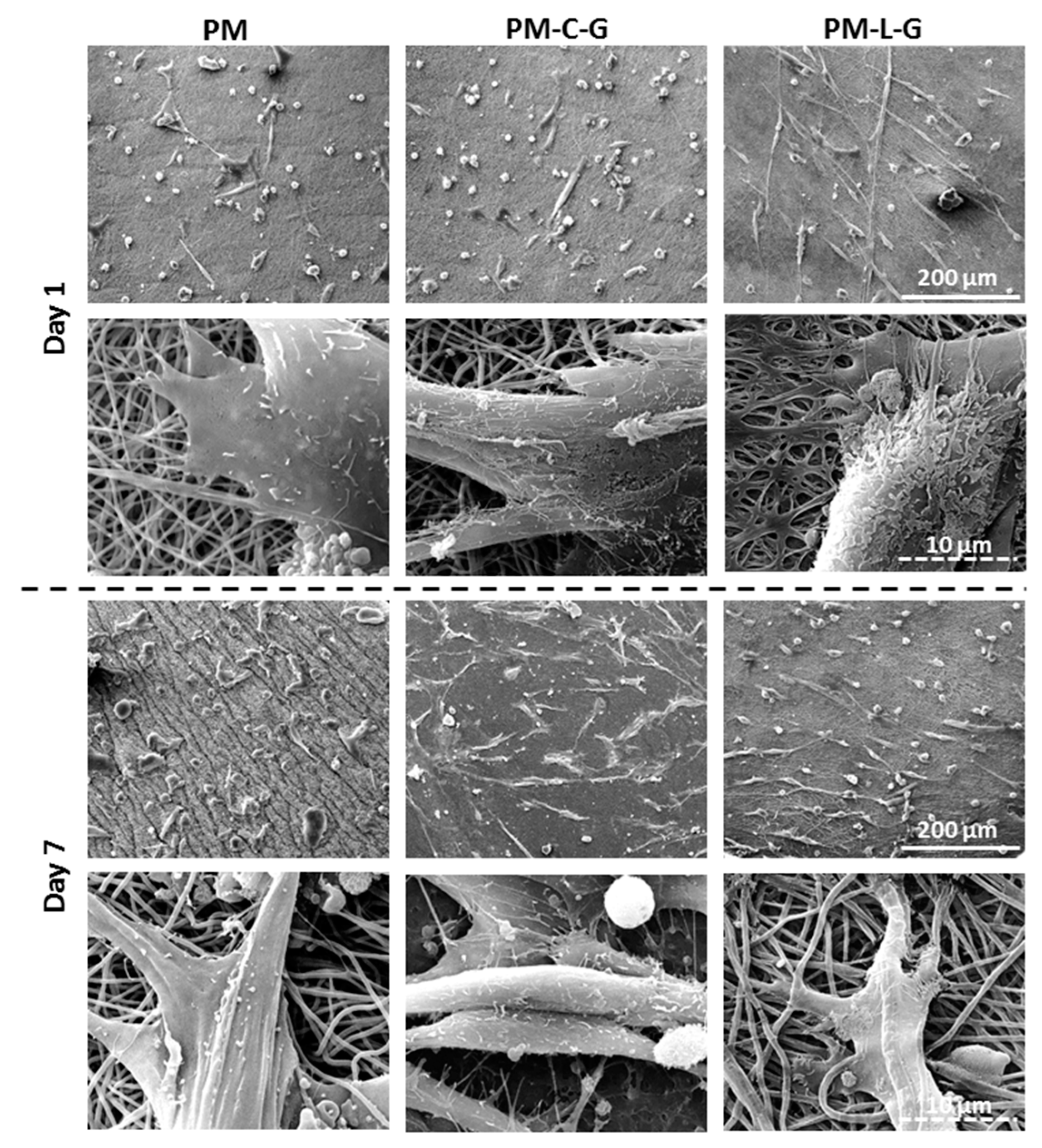 Ijms 18 02242 g006 Ijms 18 02242 g006