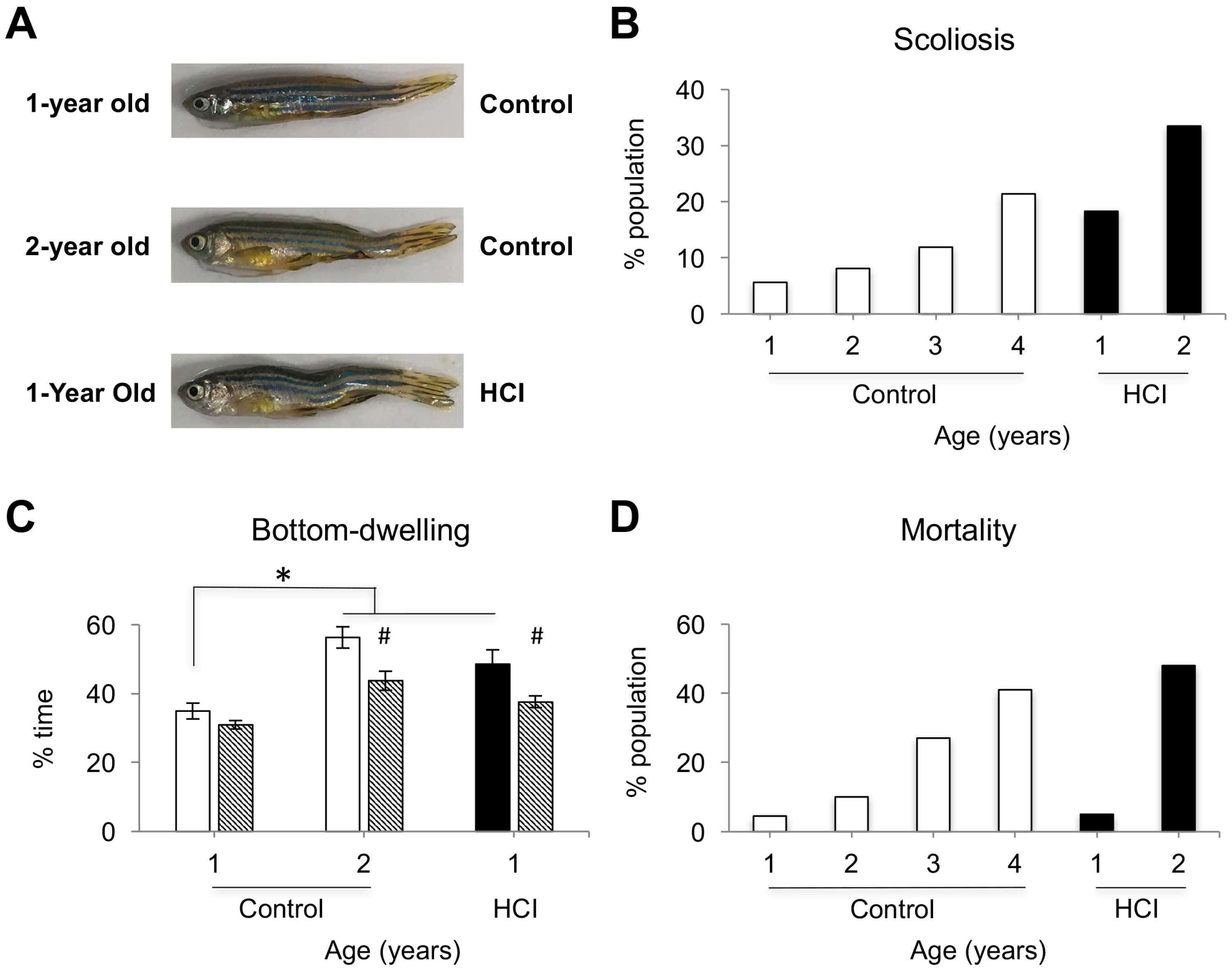 Ijms 18 02243 g001 Ijms 18 02243 g001