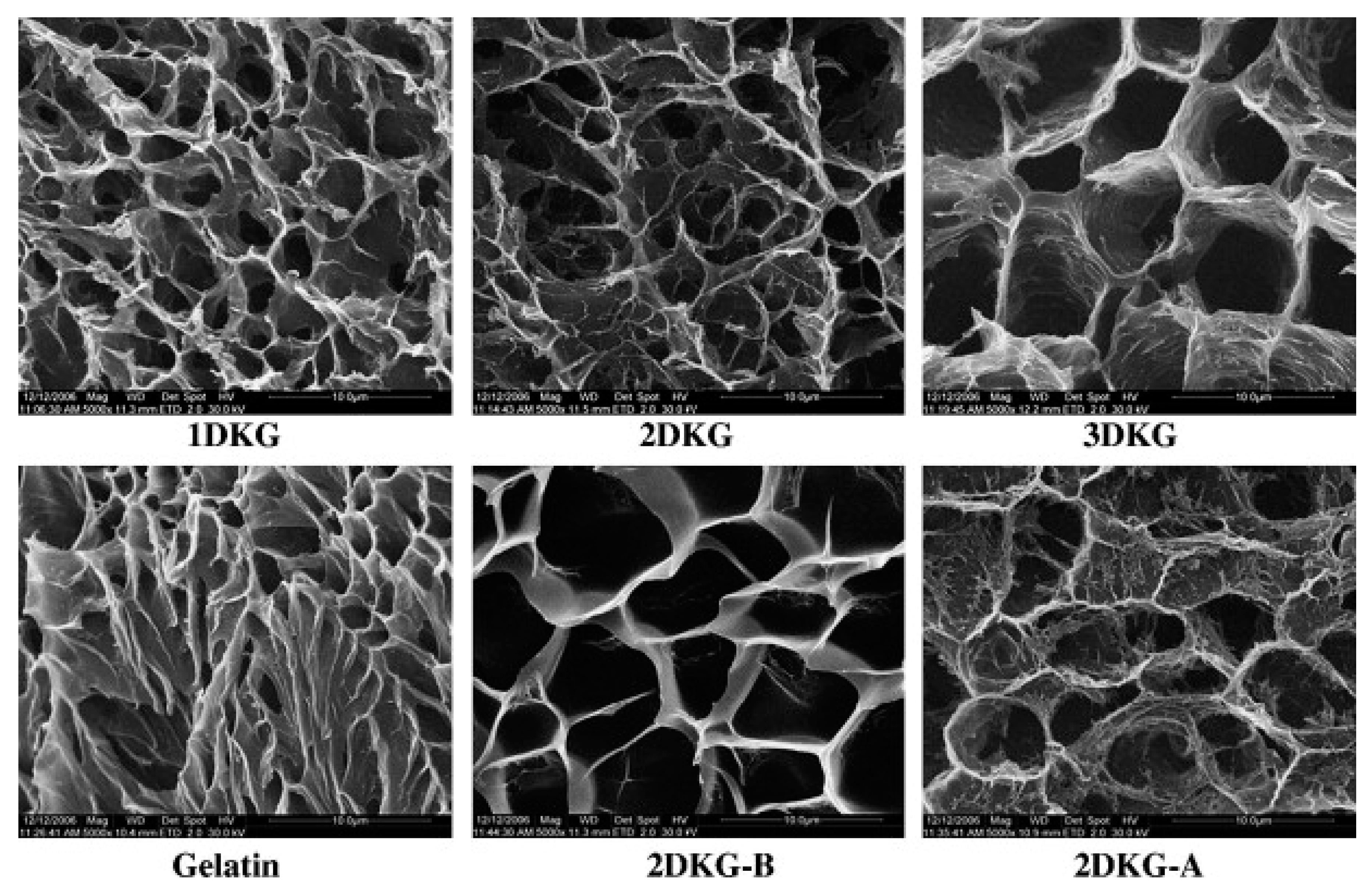 Ijms 18 02250 g004 Ijms 18 02250 g004