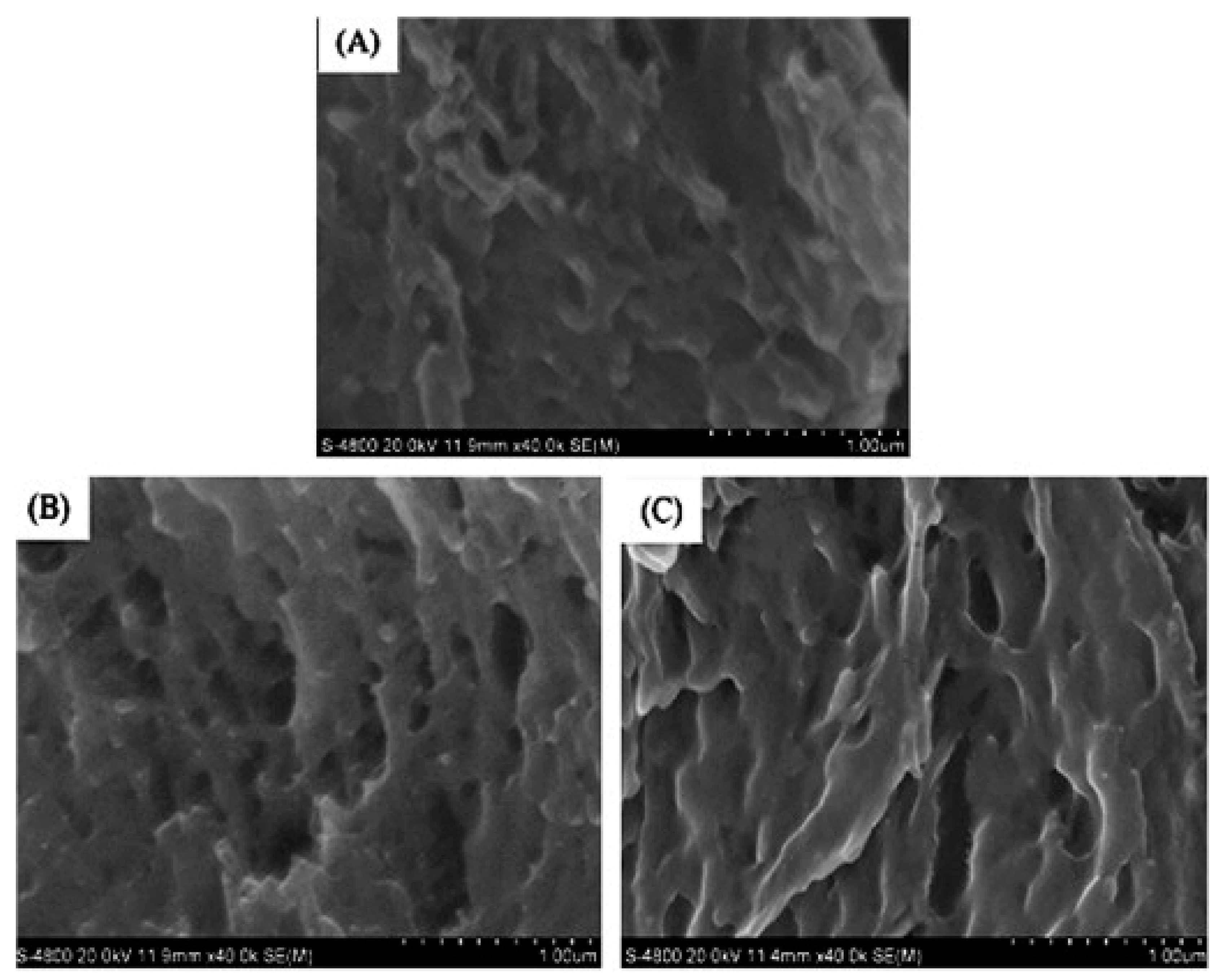 Ijms 18 02250 g006 Ijms 18 02250 g006