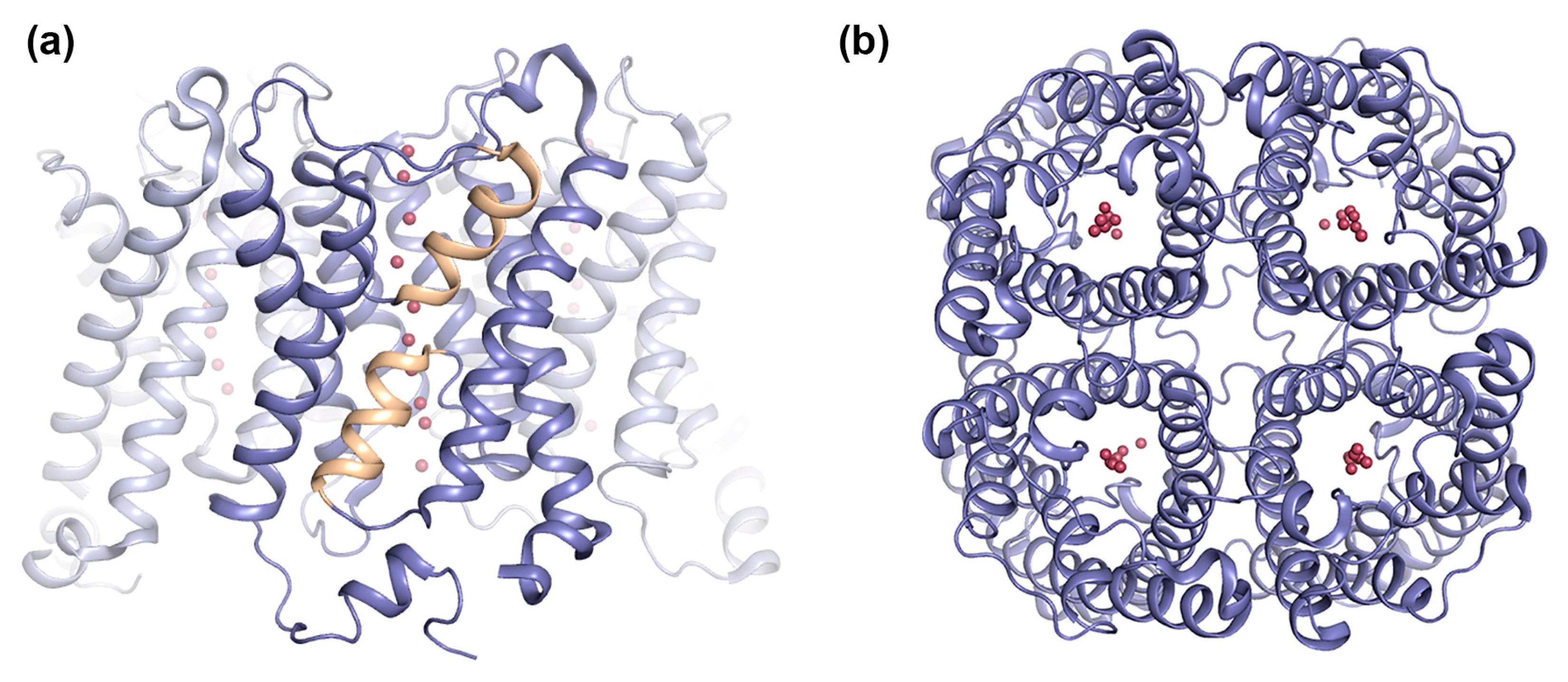 Ijms 18 02255 g001 Ijms 18 02255 g001