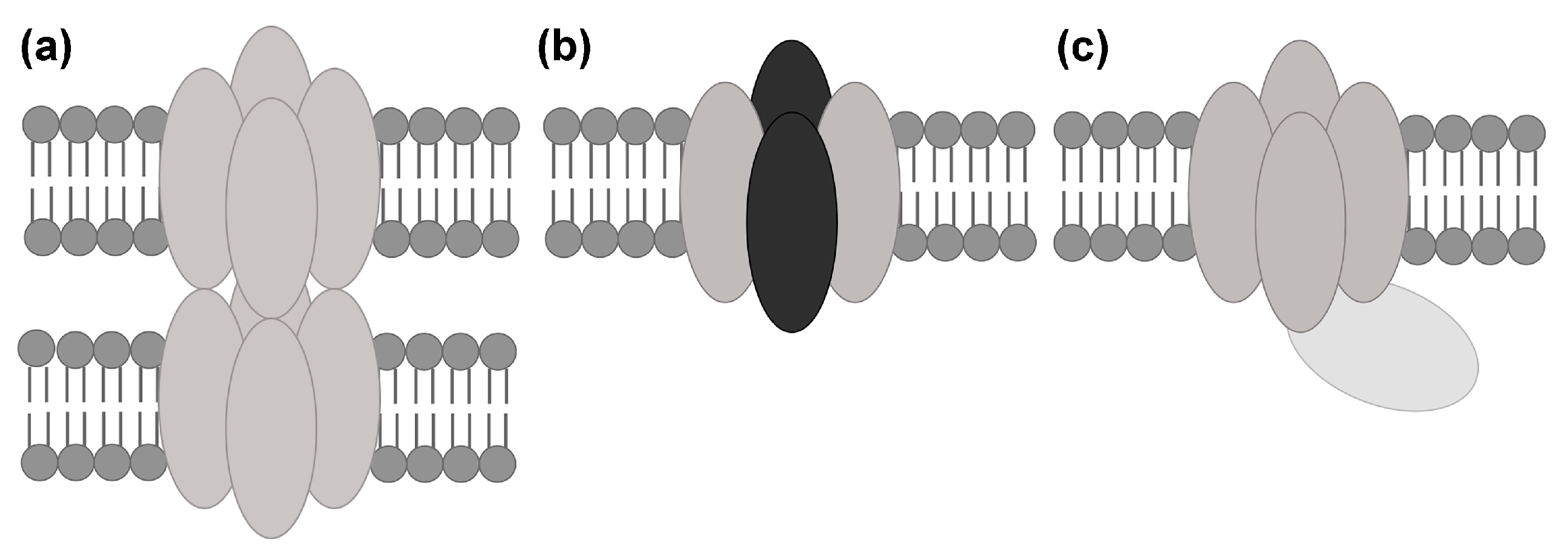 Ijms 18 02255 g002 Ijms 18 02255 g002