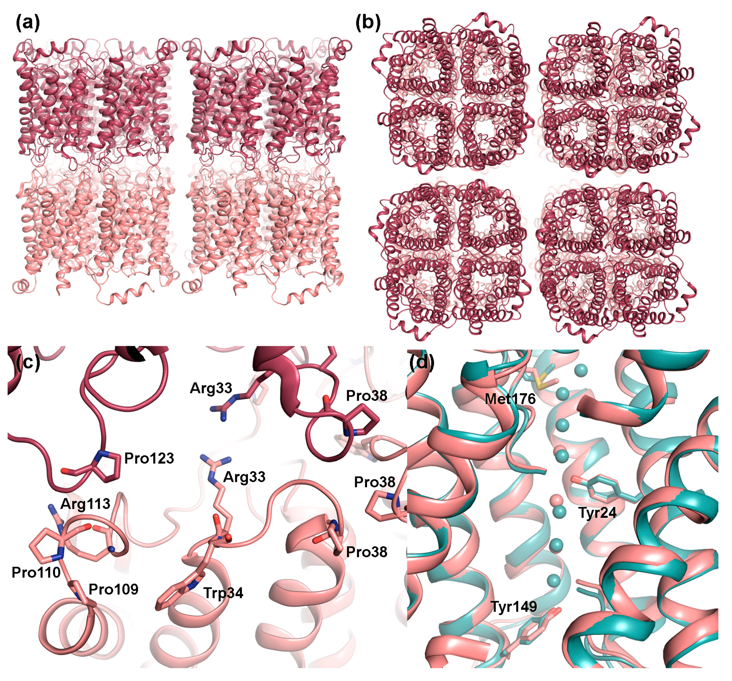 Ijms 18 02255 g003 Ijms 18 02255 g003