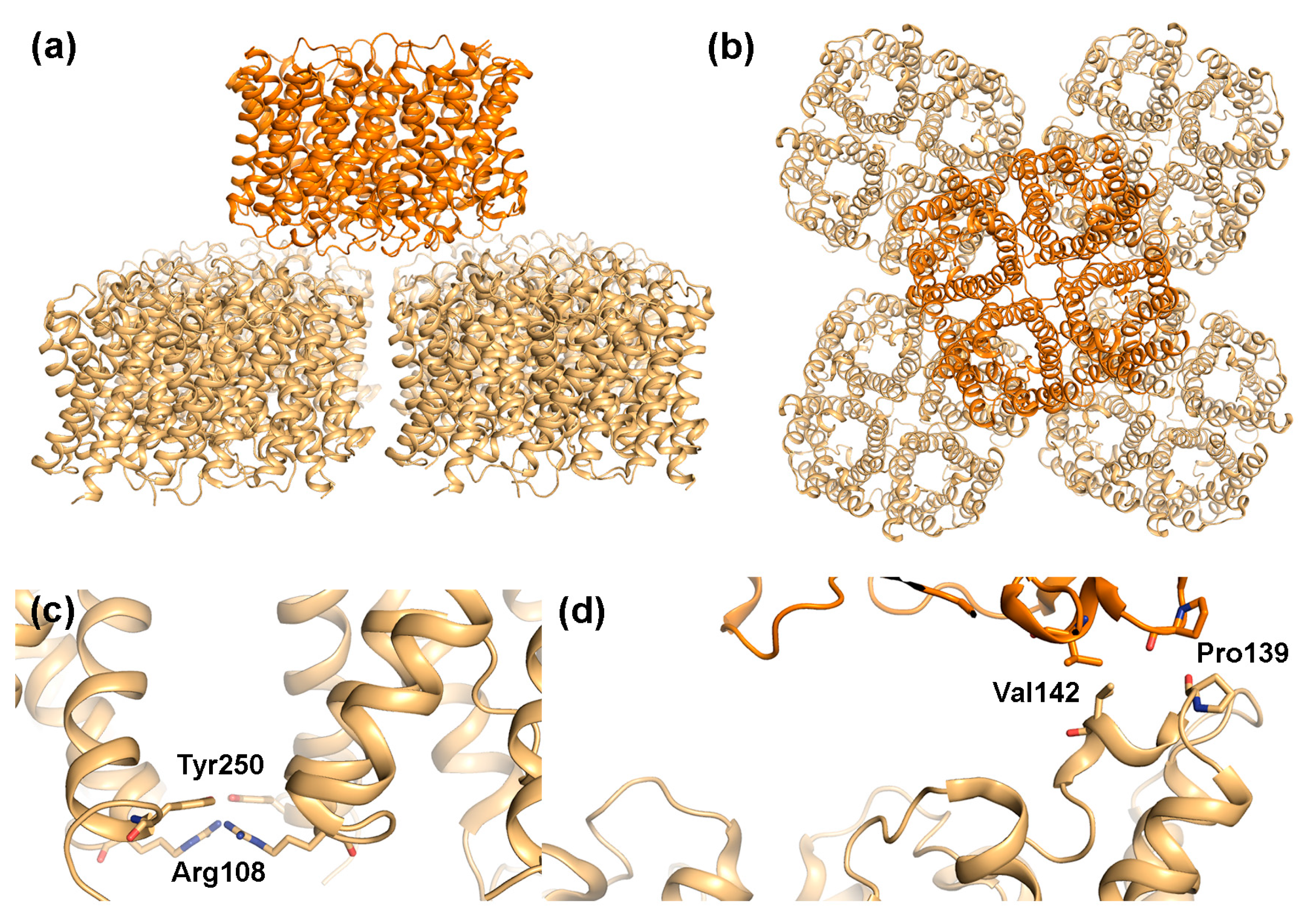 Ijms 18 02255 g004 Ijms 18 02255 g004