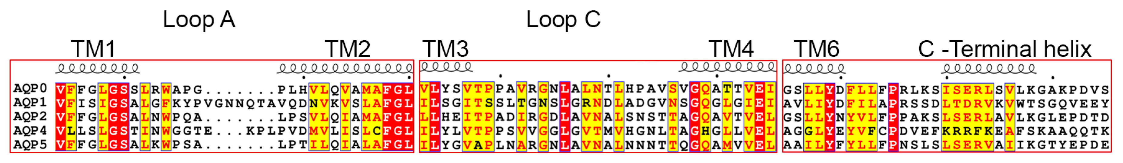 Ijms 18 02255 g005 Ijms 18 02255 g005