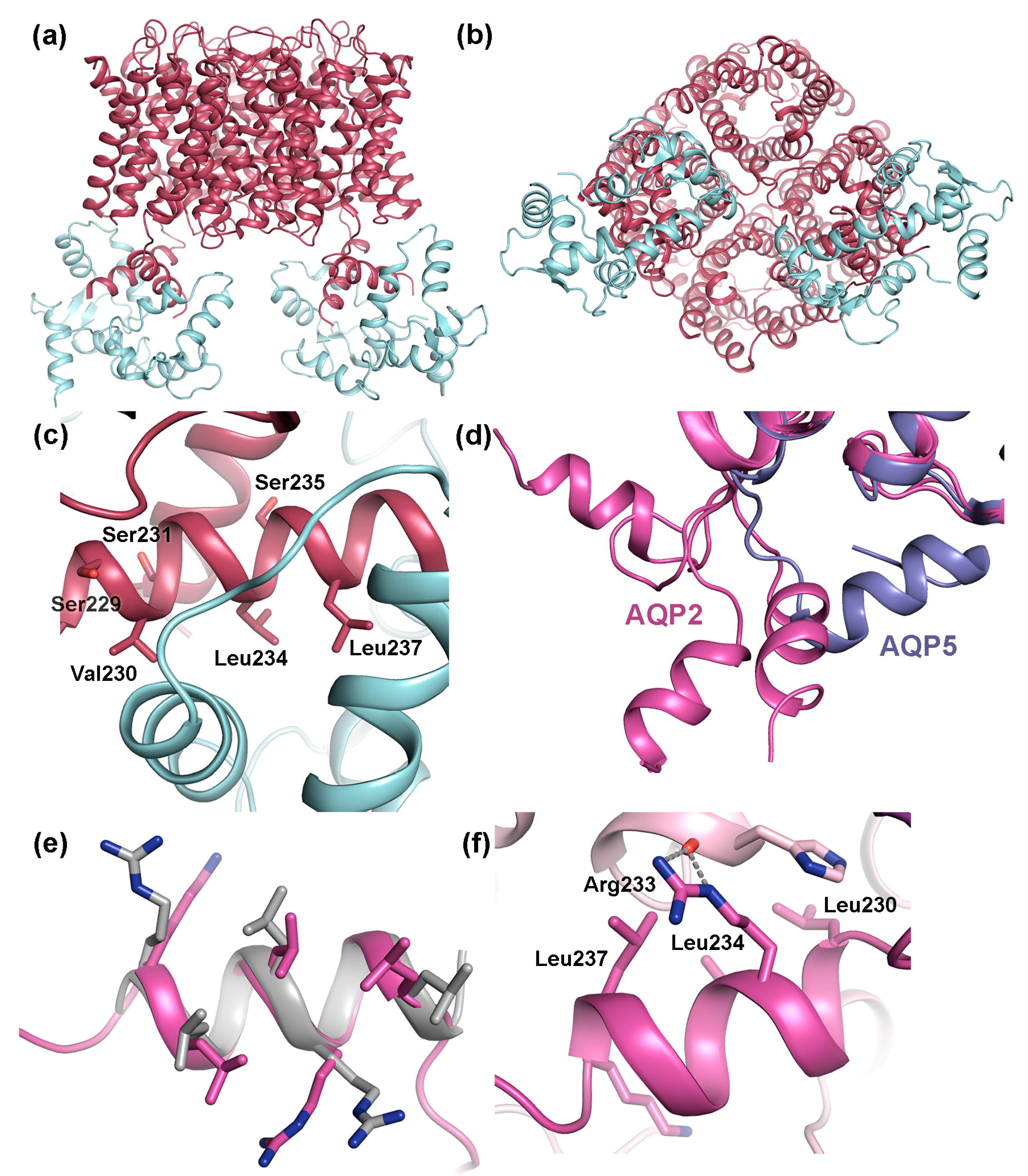 Ijms 18 02255 g007 Ijms 18 02255 g007