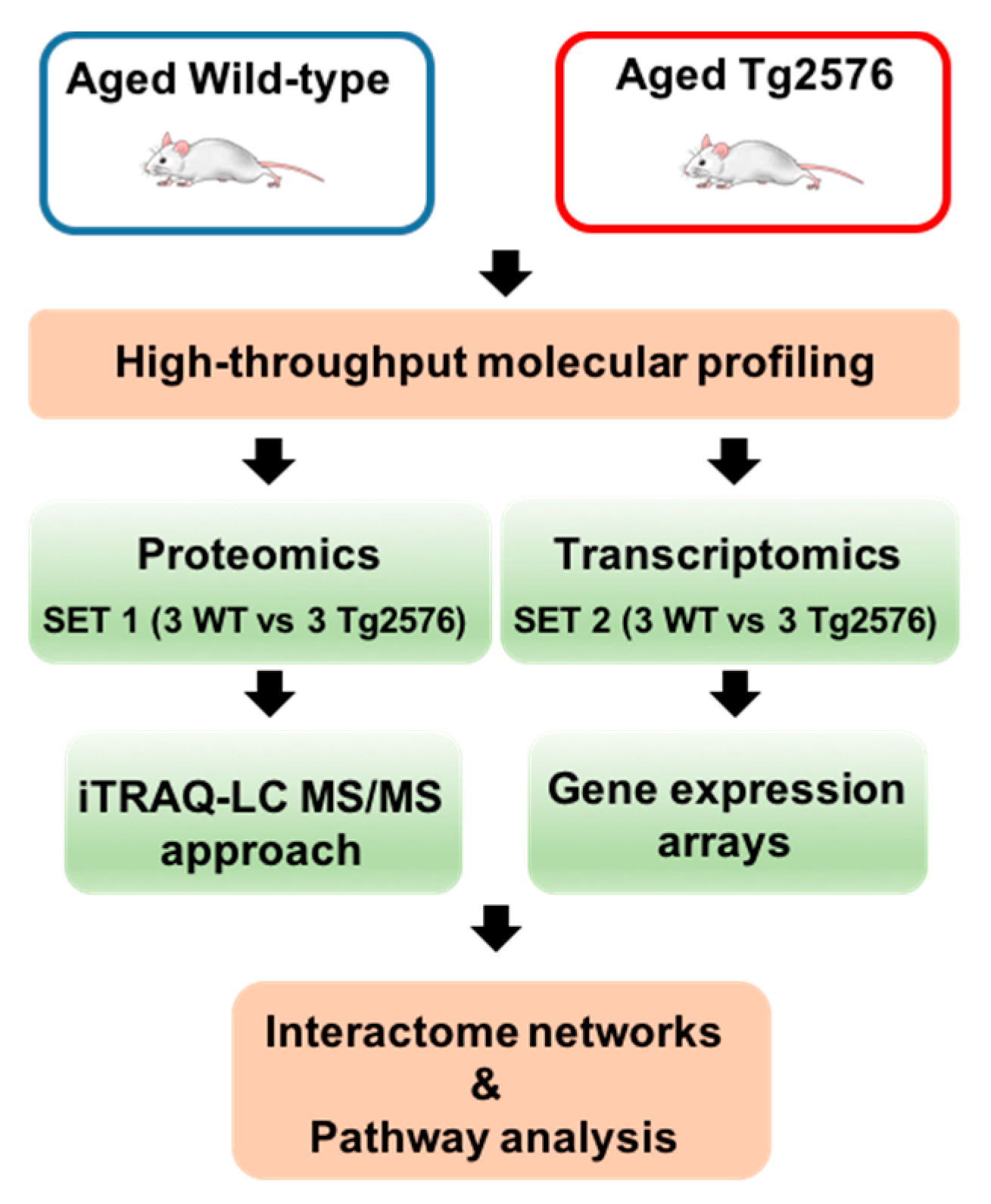 Ijms 18 02260 g001 Ijms 18 02260 g001