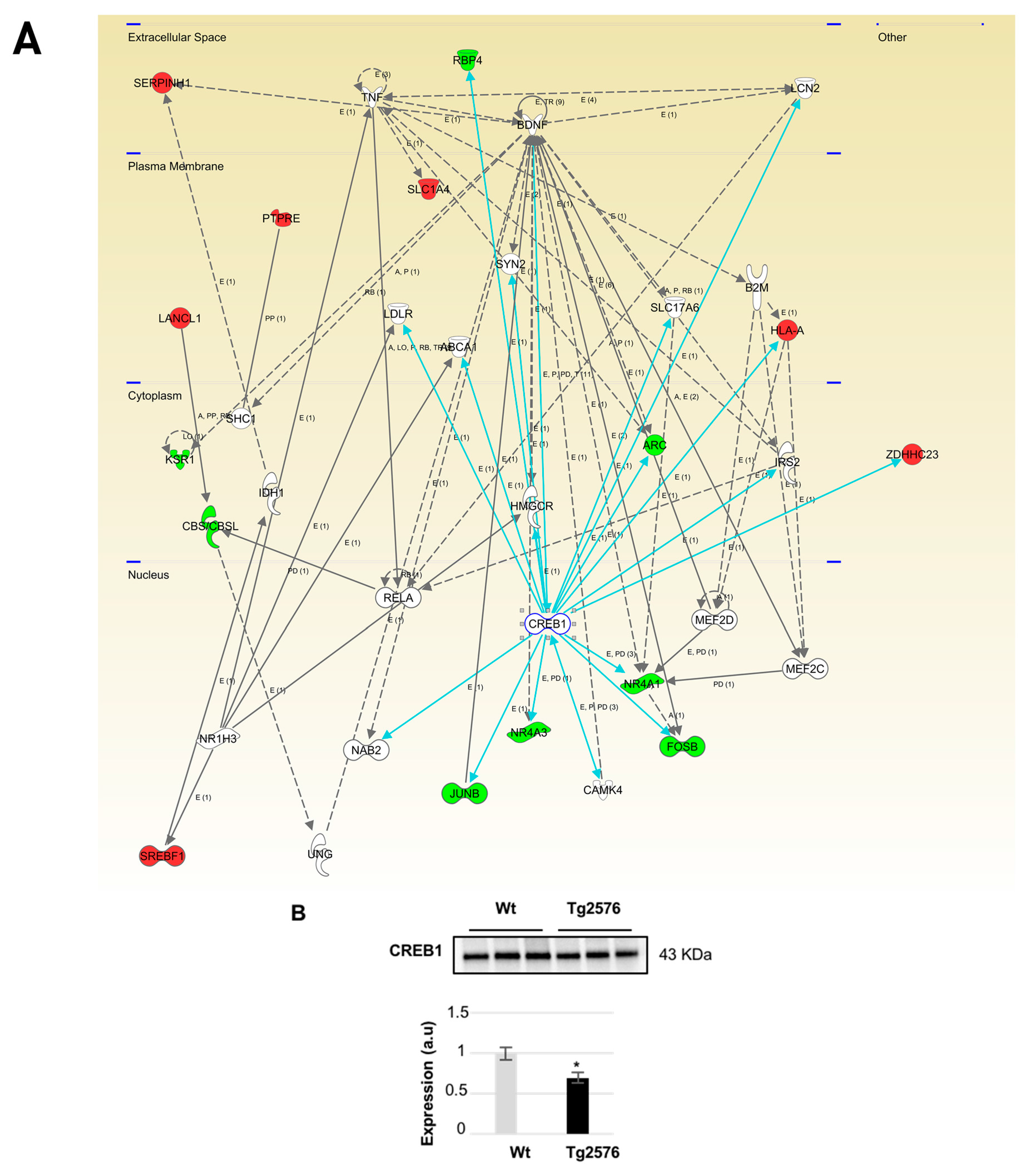 Ijms 18 02260 g006 Ijms 18 02260 g006