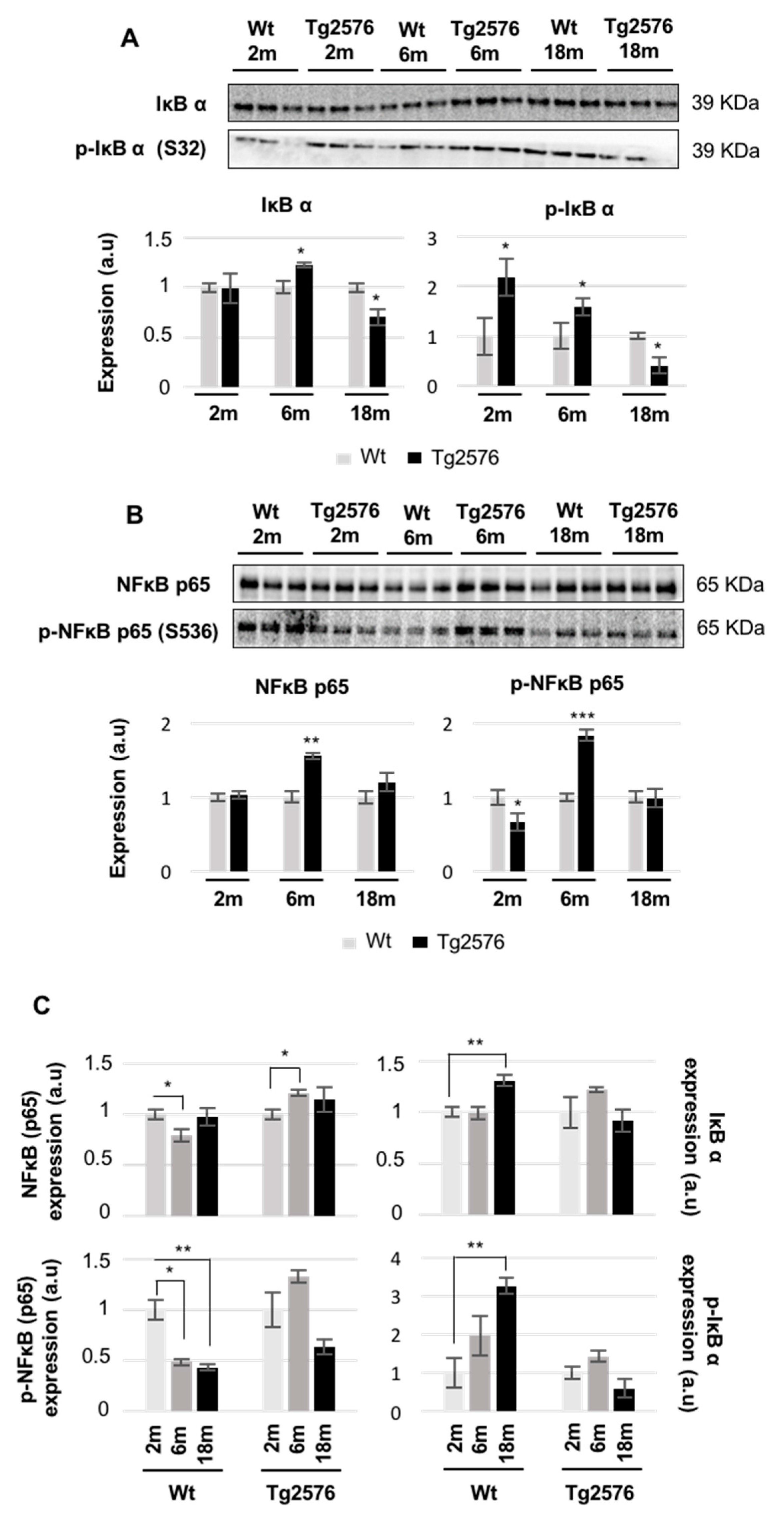 Ijms 18 02260 g007 Ijms 18 02260 g007