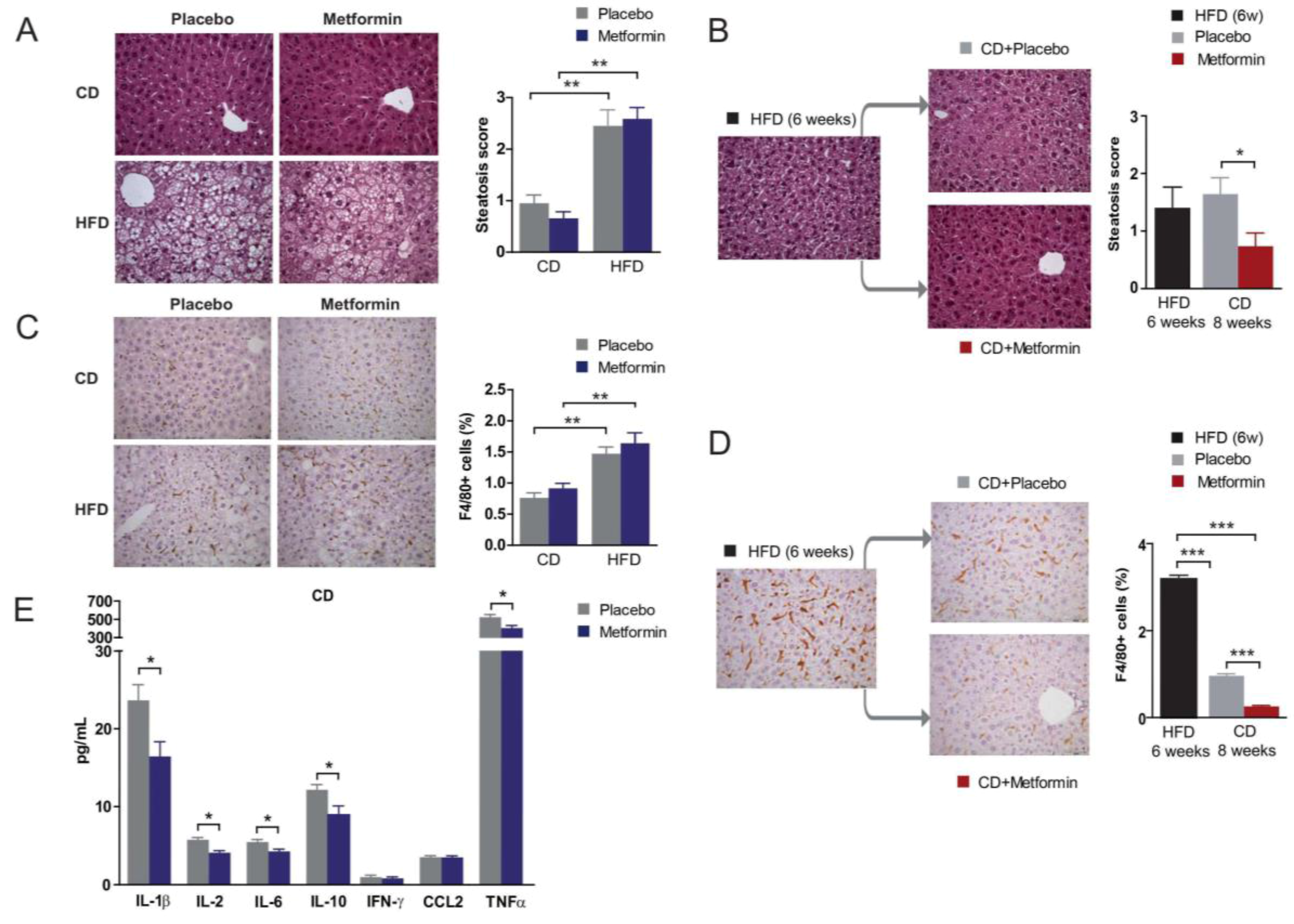 Ijms 18 02263 g005 Ijms 18 02263 g005