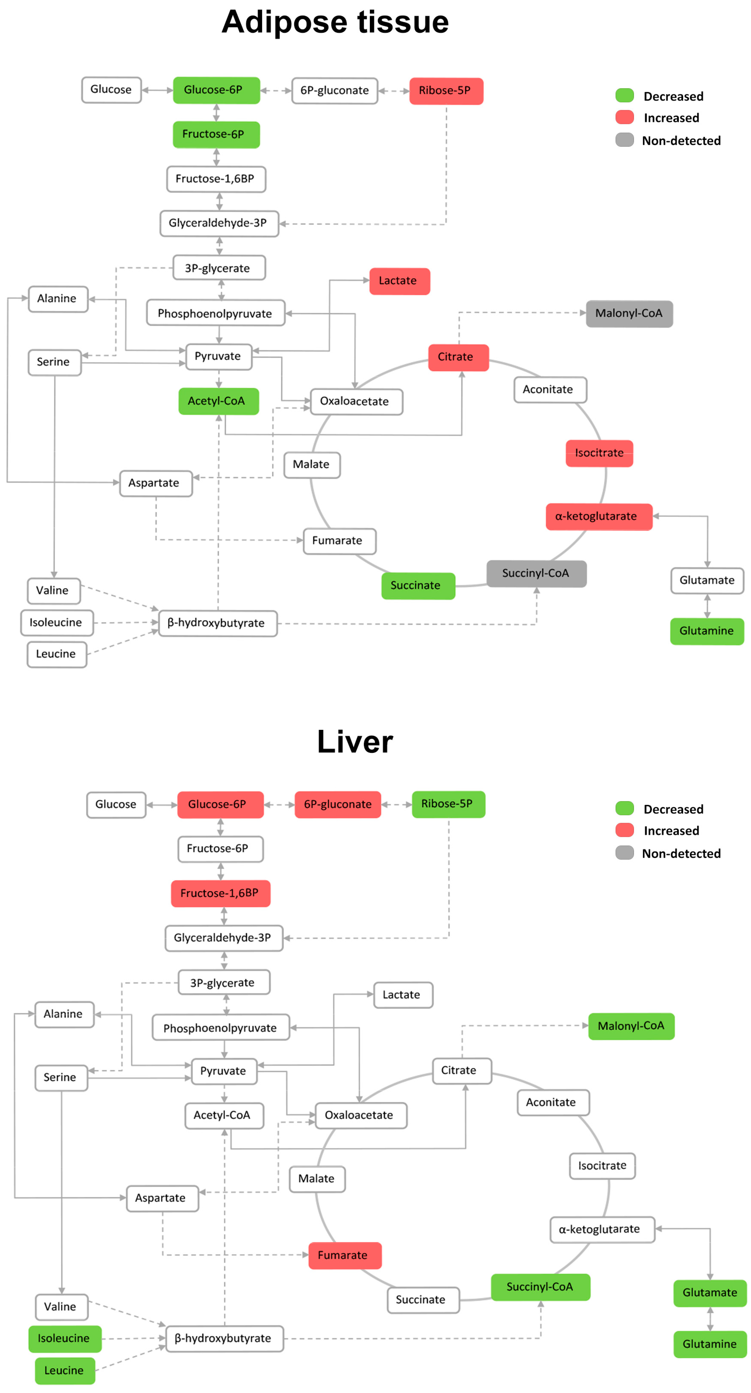 Ijms 18 02263 g006 Ijms 18 02263 g006