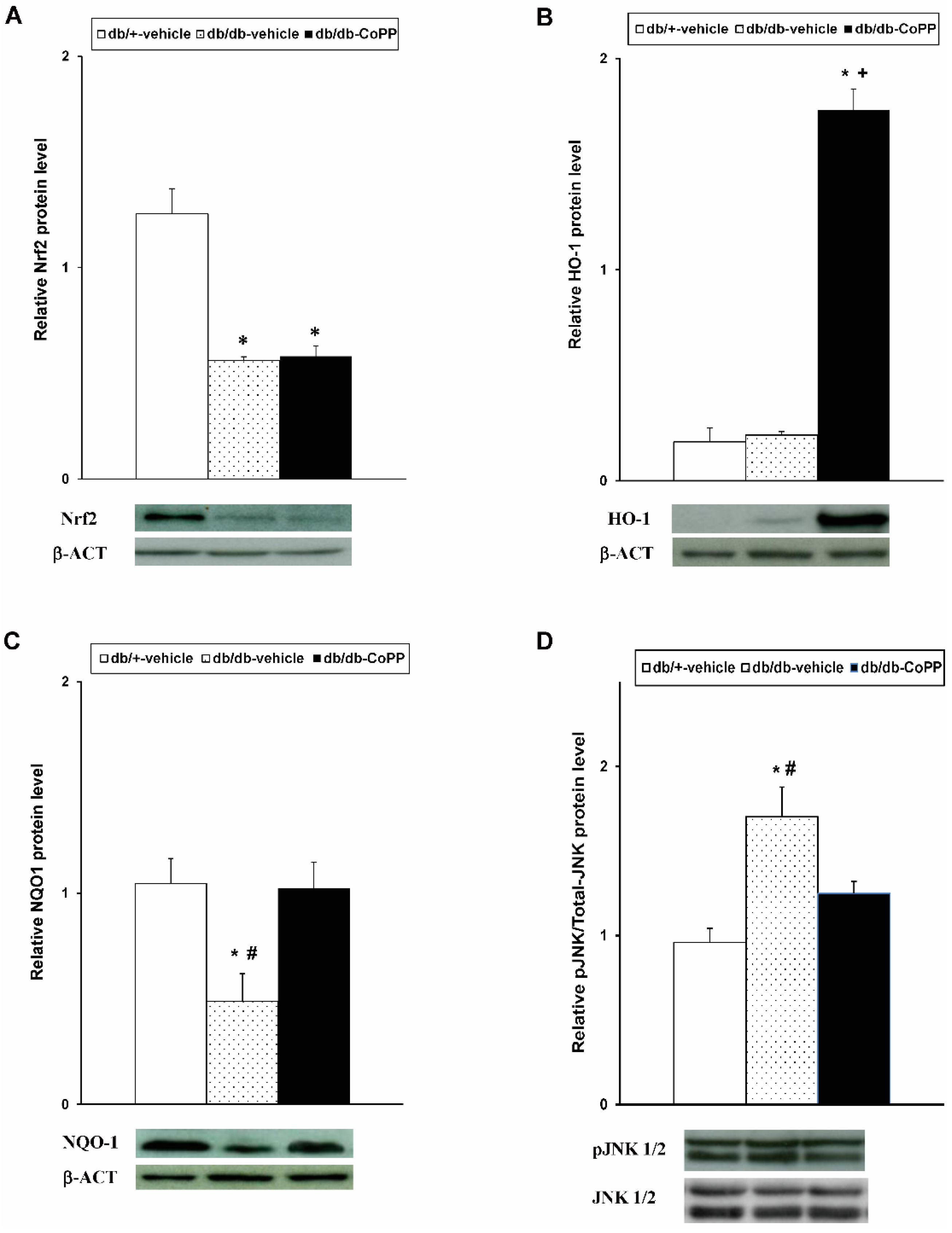 Ijms 18 02268 g003 Ijms 18 02268 g003