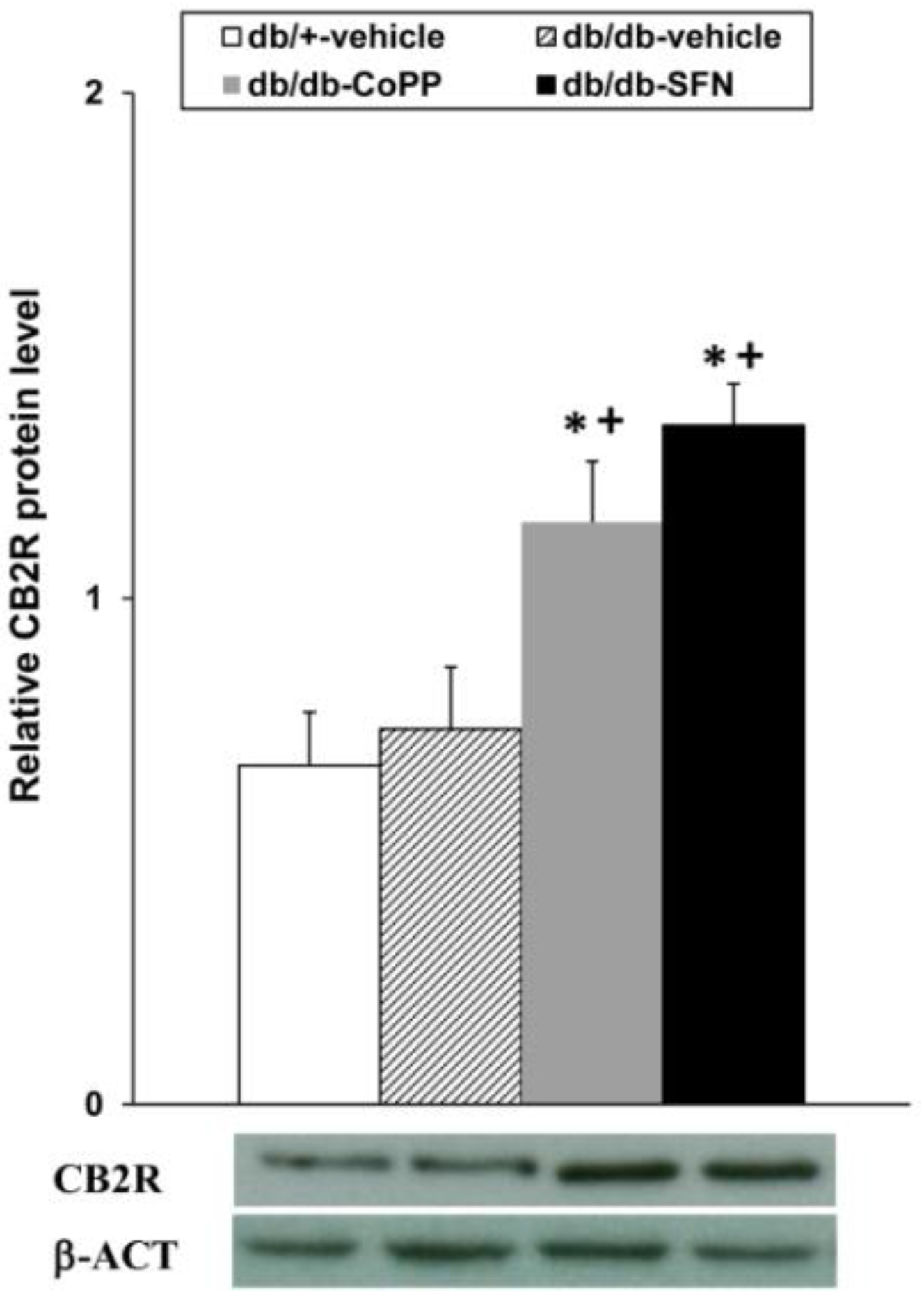 Ijms 18 02268 g006 Ijms 18 02268 g006