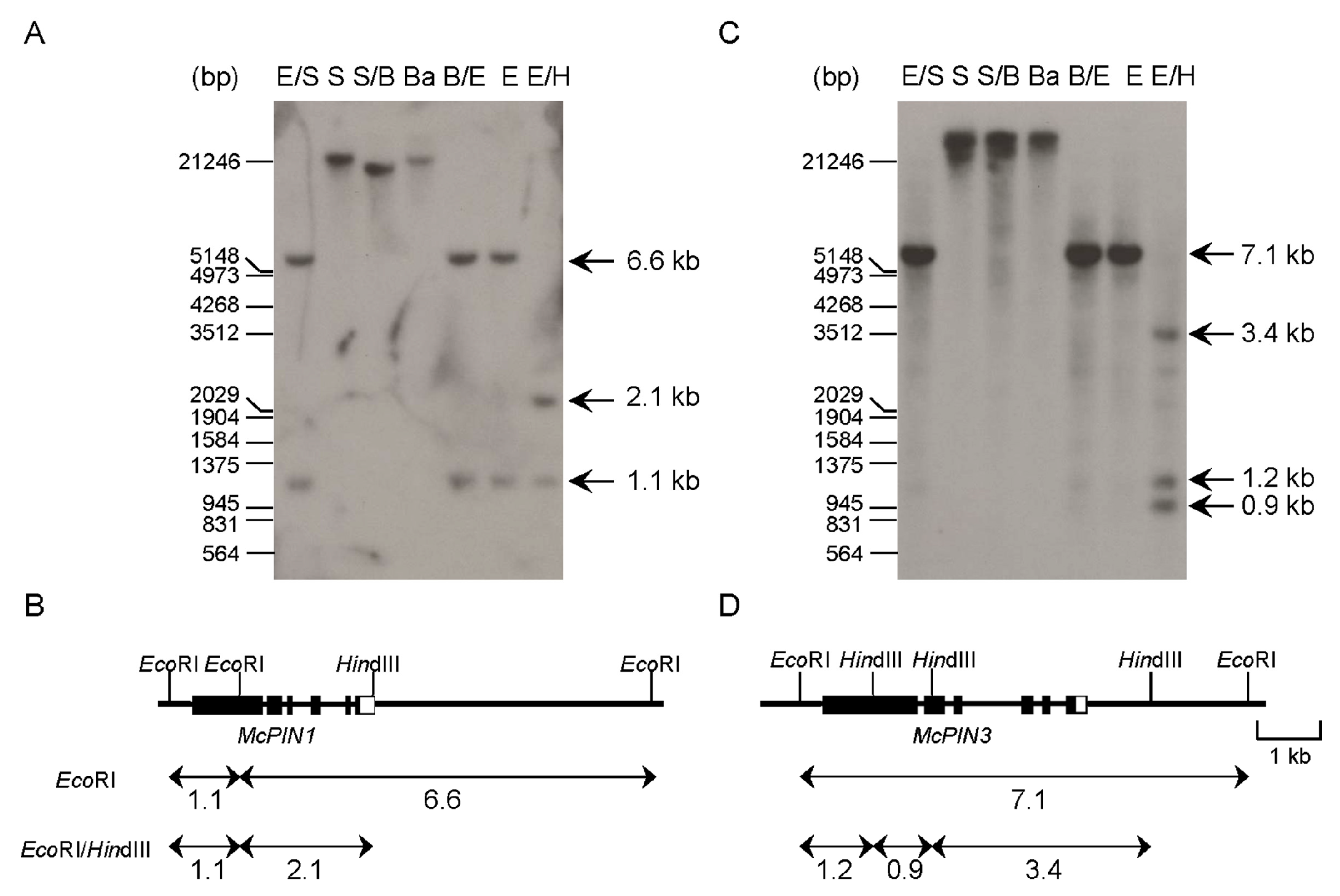 Ijms 18 02343 g003