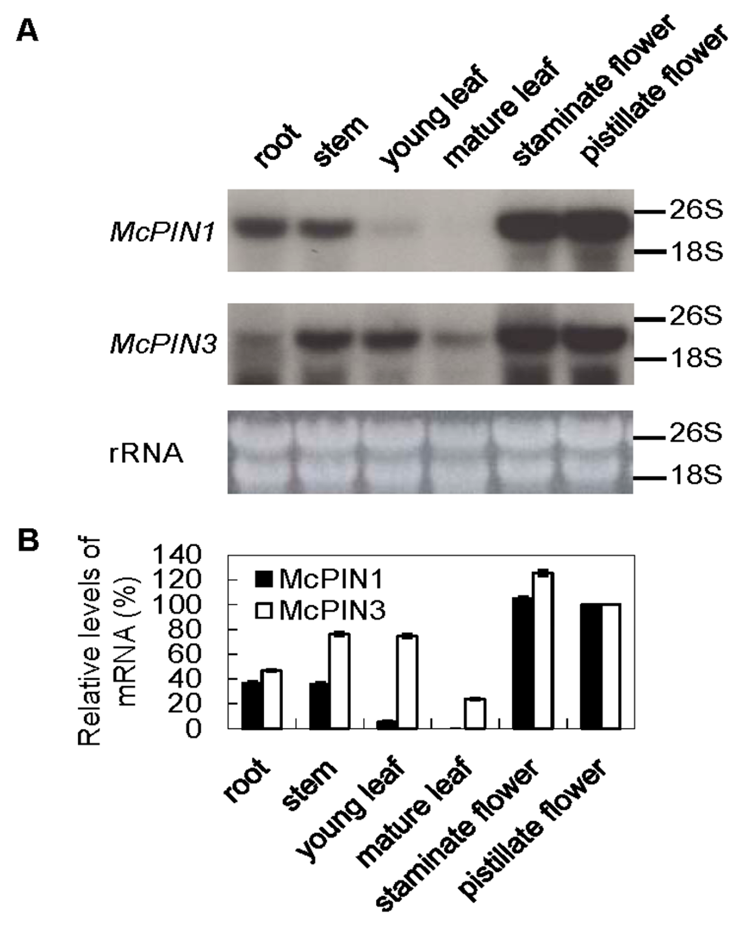 Ijms 18 02343 g004