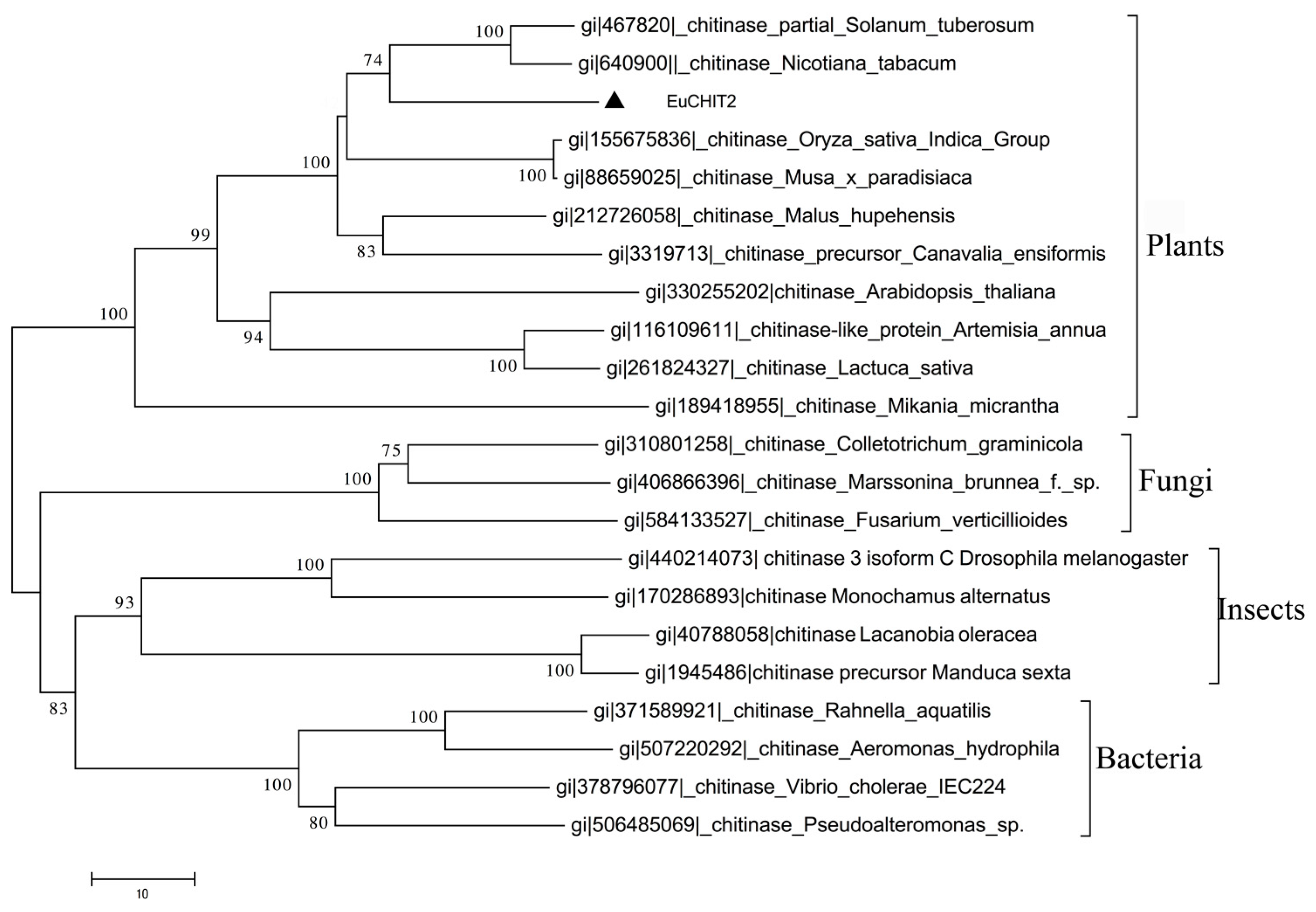 Ijms 18 02361 g002
