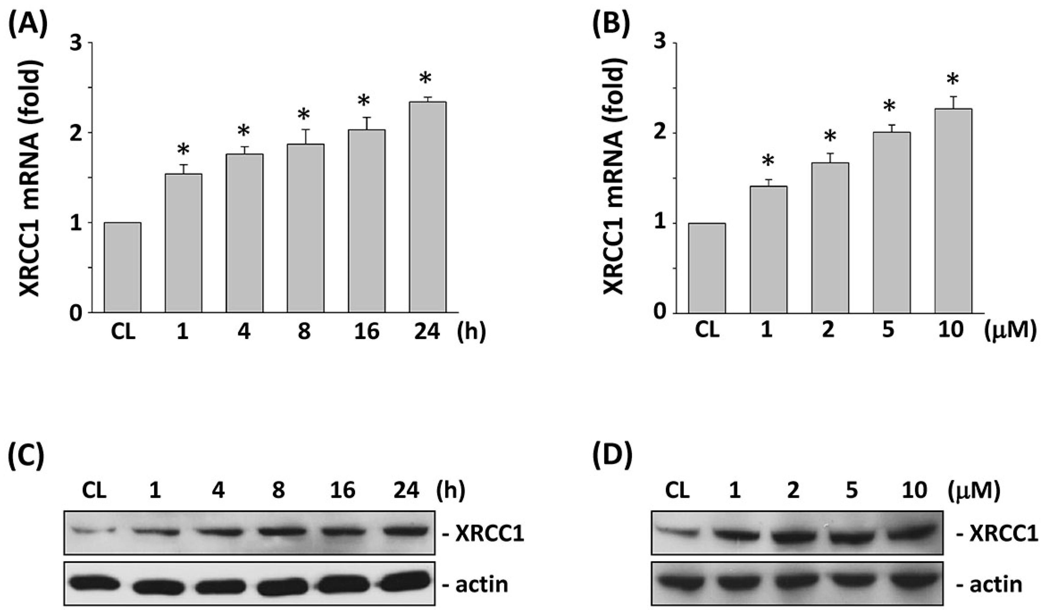 Ijms 18 02363 g001 Ijms 18 02363 g001