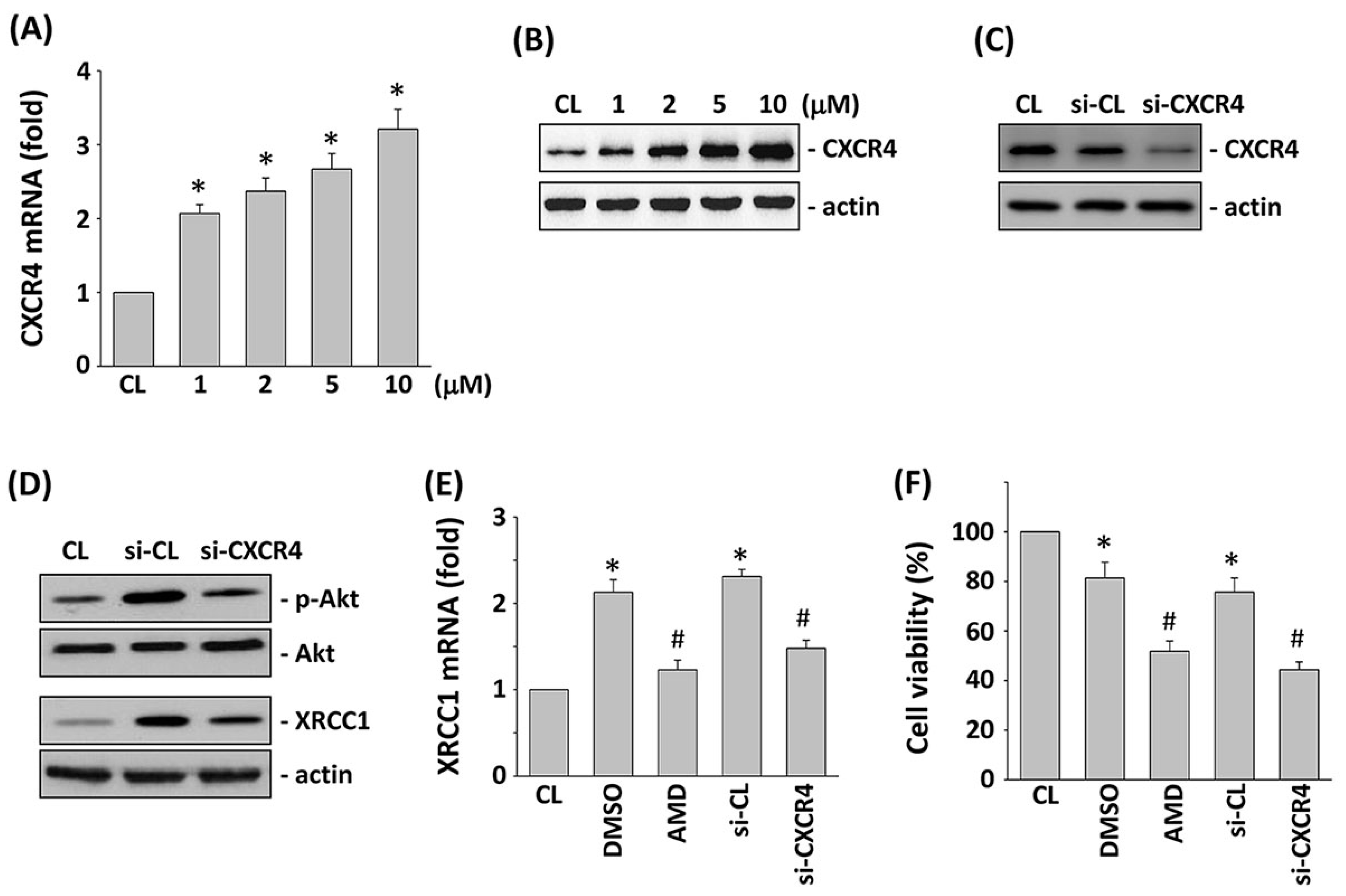 Ijms 18 02363 g004 Ijms 18 02363 g004