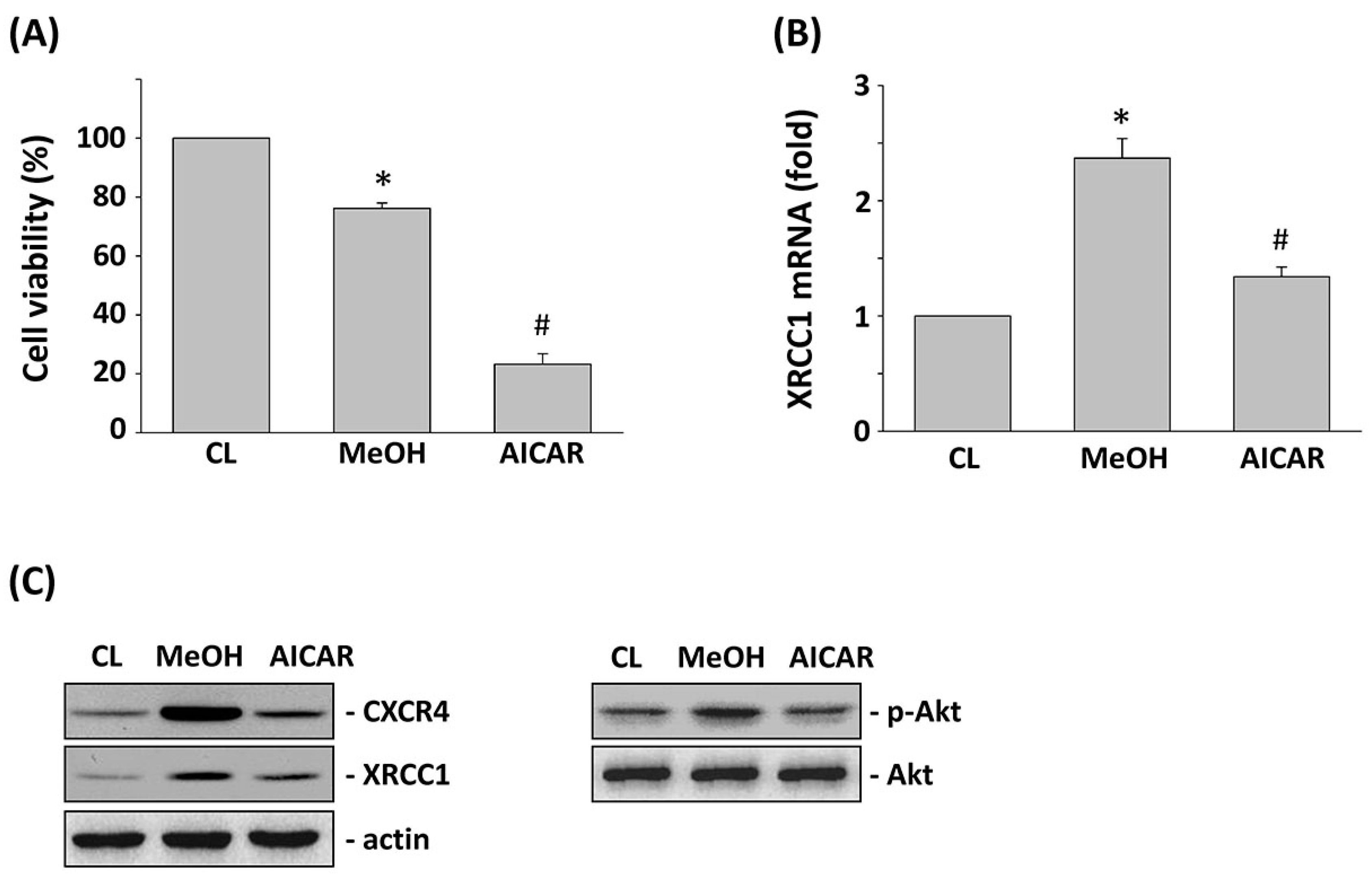 Ijms 18 02363 g005 Ijms 18 02363 g005