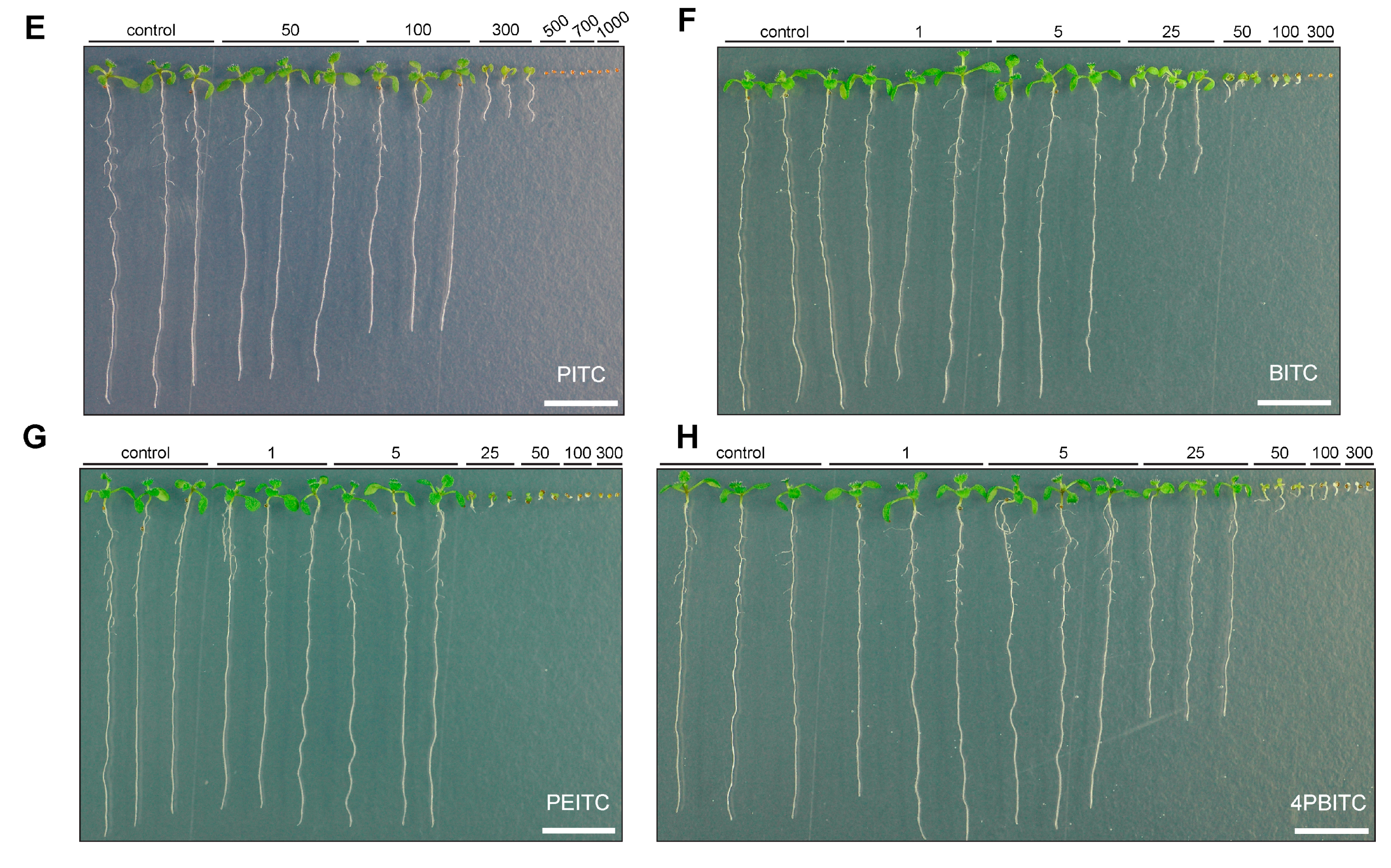 Ijms 18 02372 g005b Ijms 18 02372 g005b