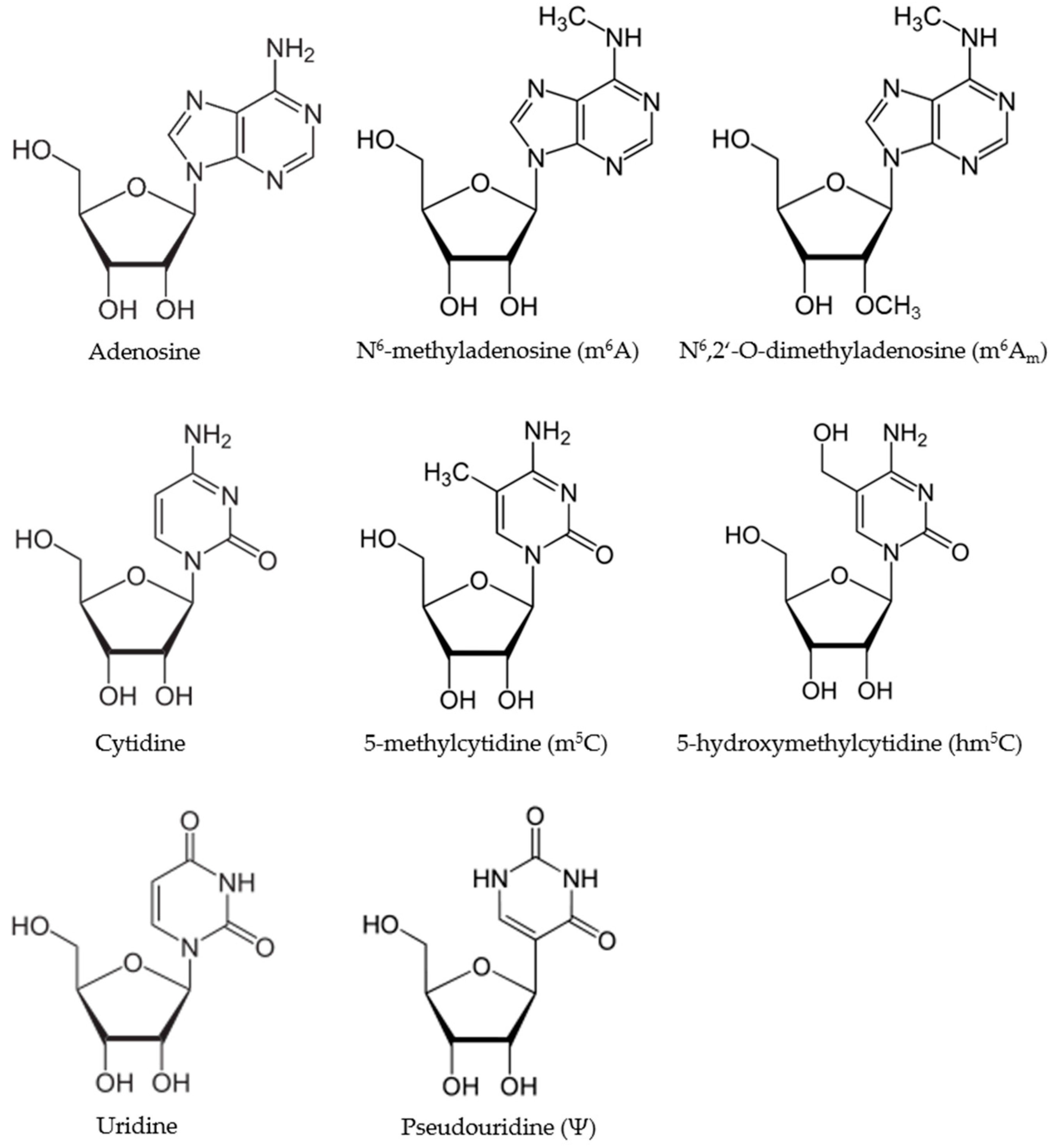 Ijms 18 02387 g001 Ijms 18 02387 g001