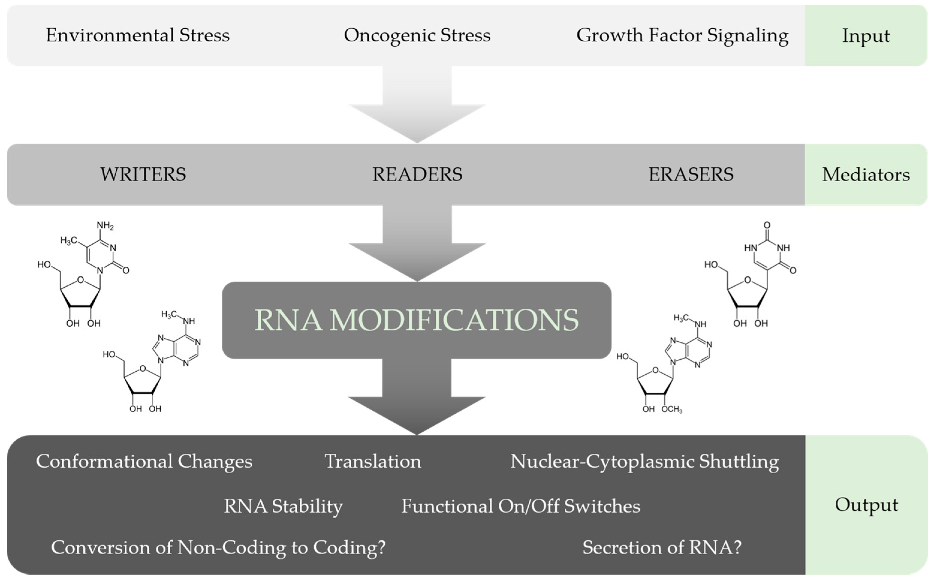 Ijms 18 02387 g003 Ijms 18 02387 g003