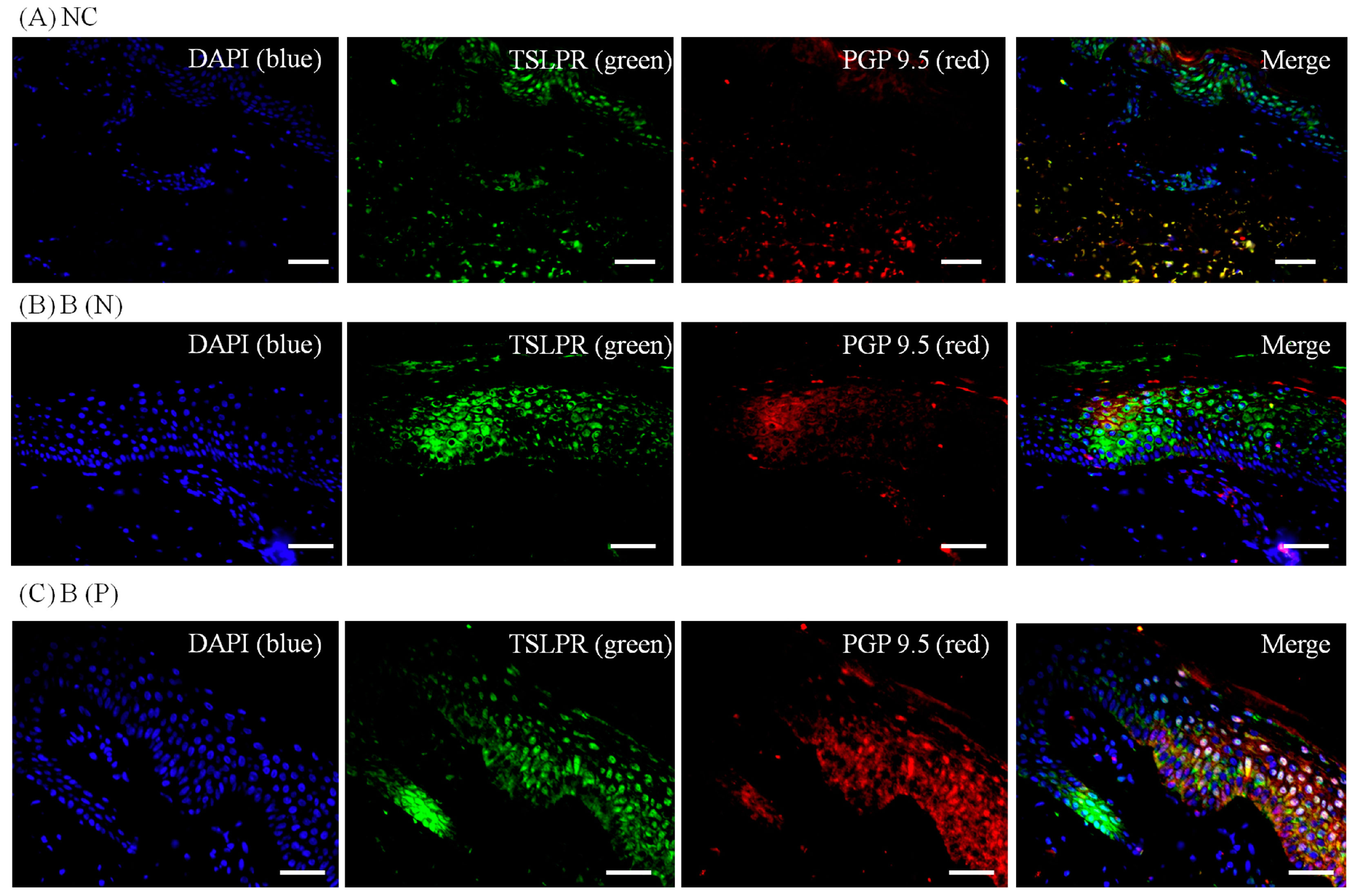 Ijms 18 02425 g008 Ijms 18 02425 g008