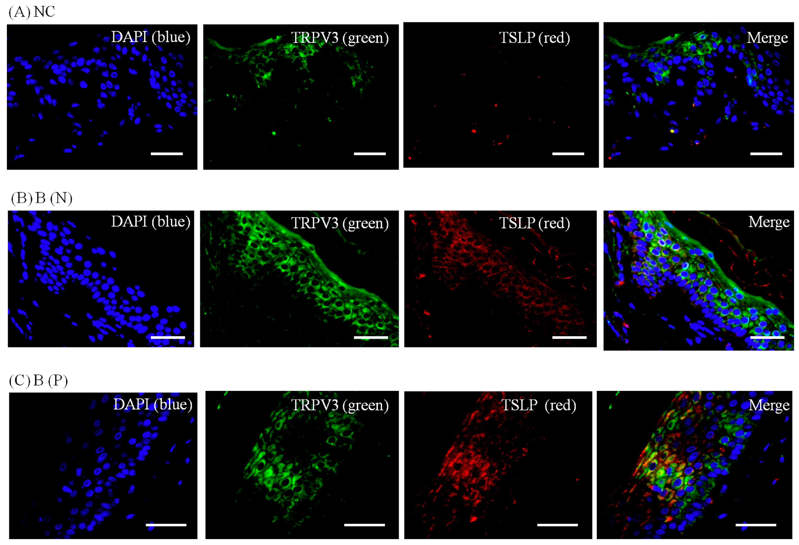 Ijms 18 02425 g009 Ijms 18 02425 g009