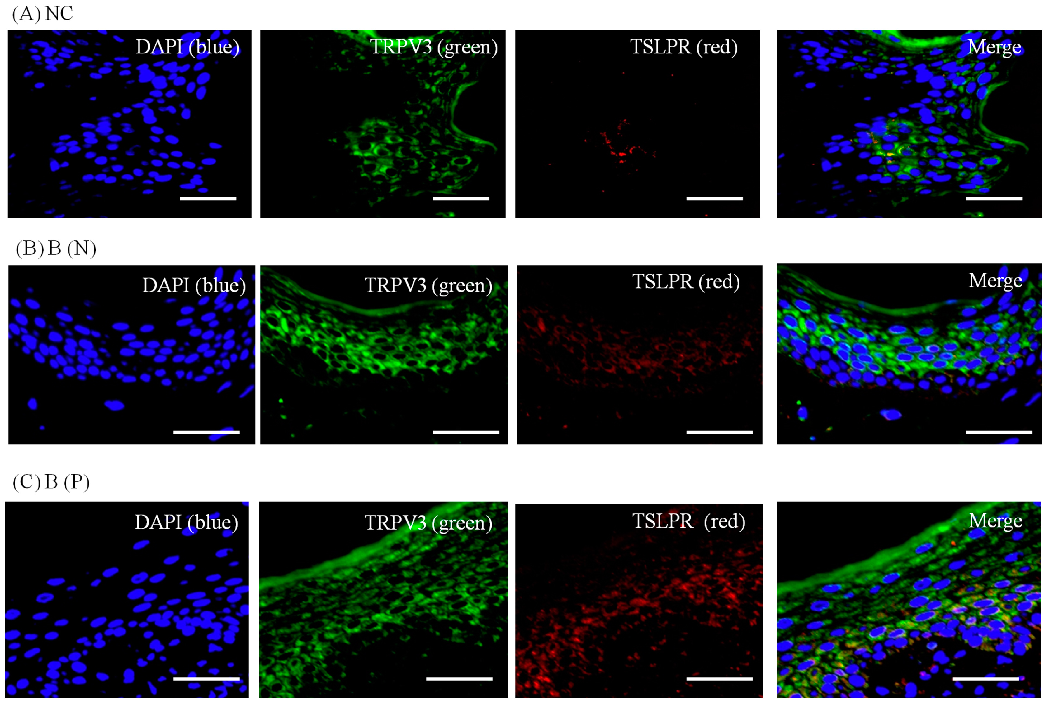 Ijms 18 02425 g010 Ijms 18 02425 g010